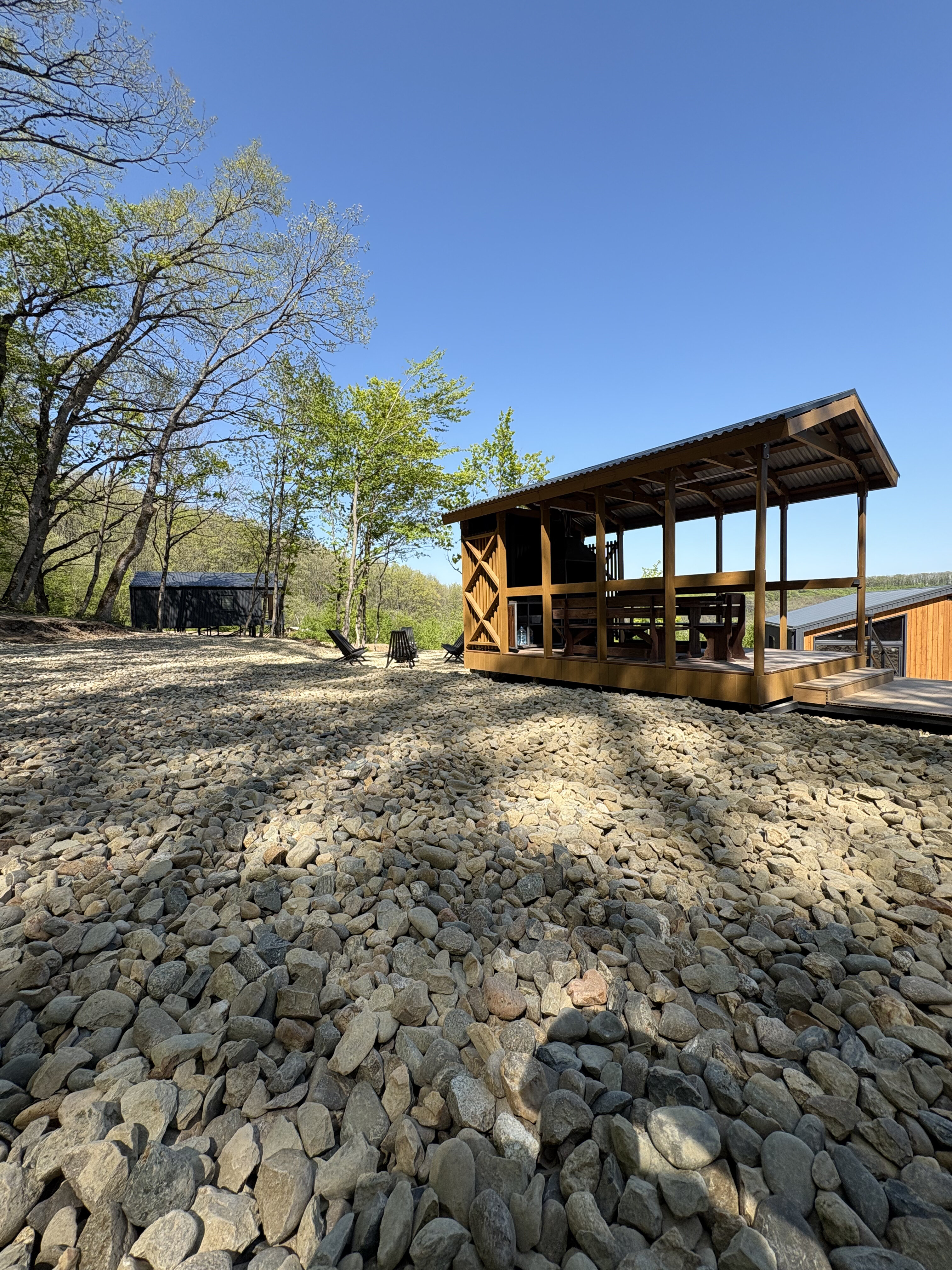 Фото Лес Азовская