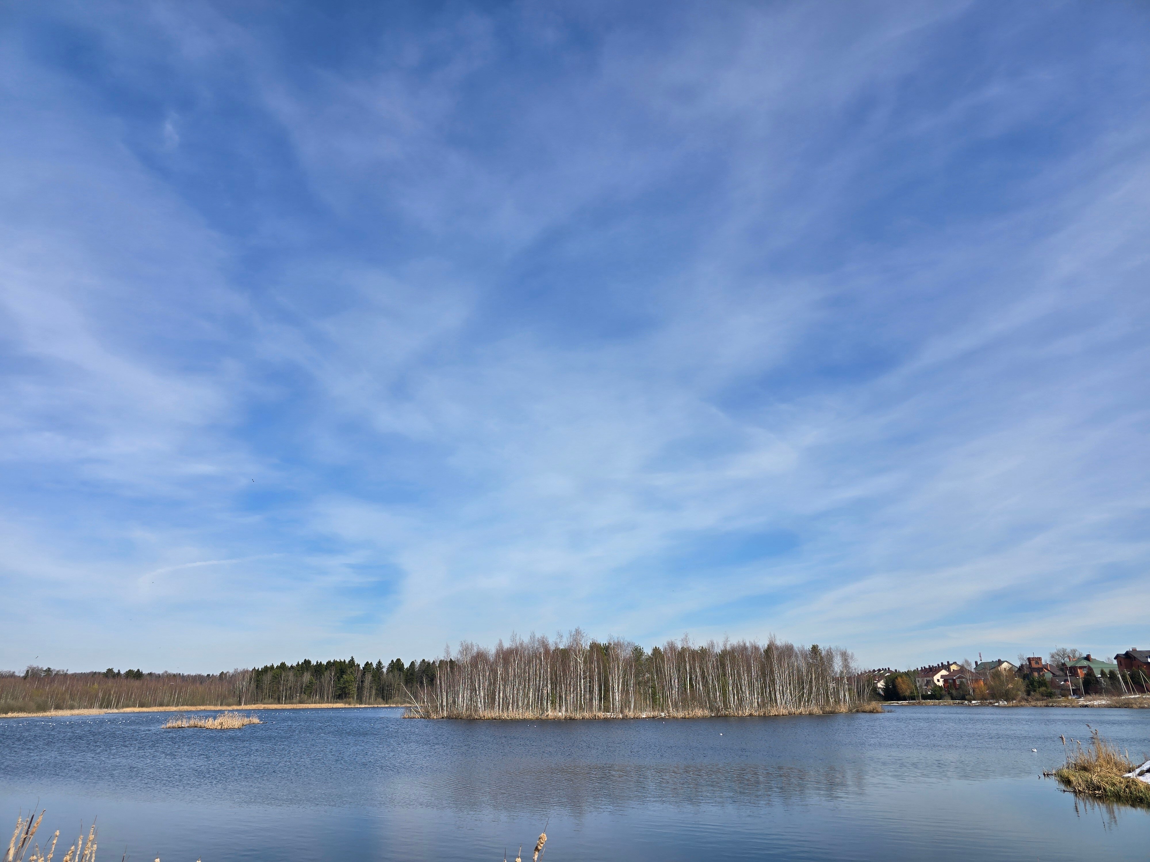 Фото Зеленый пейзаж