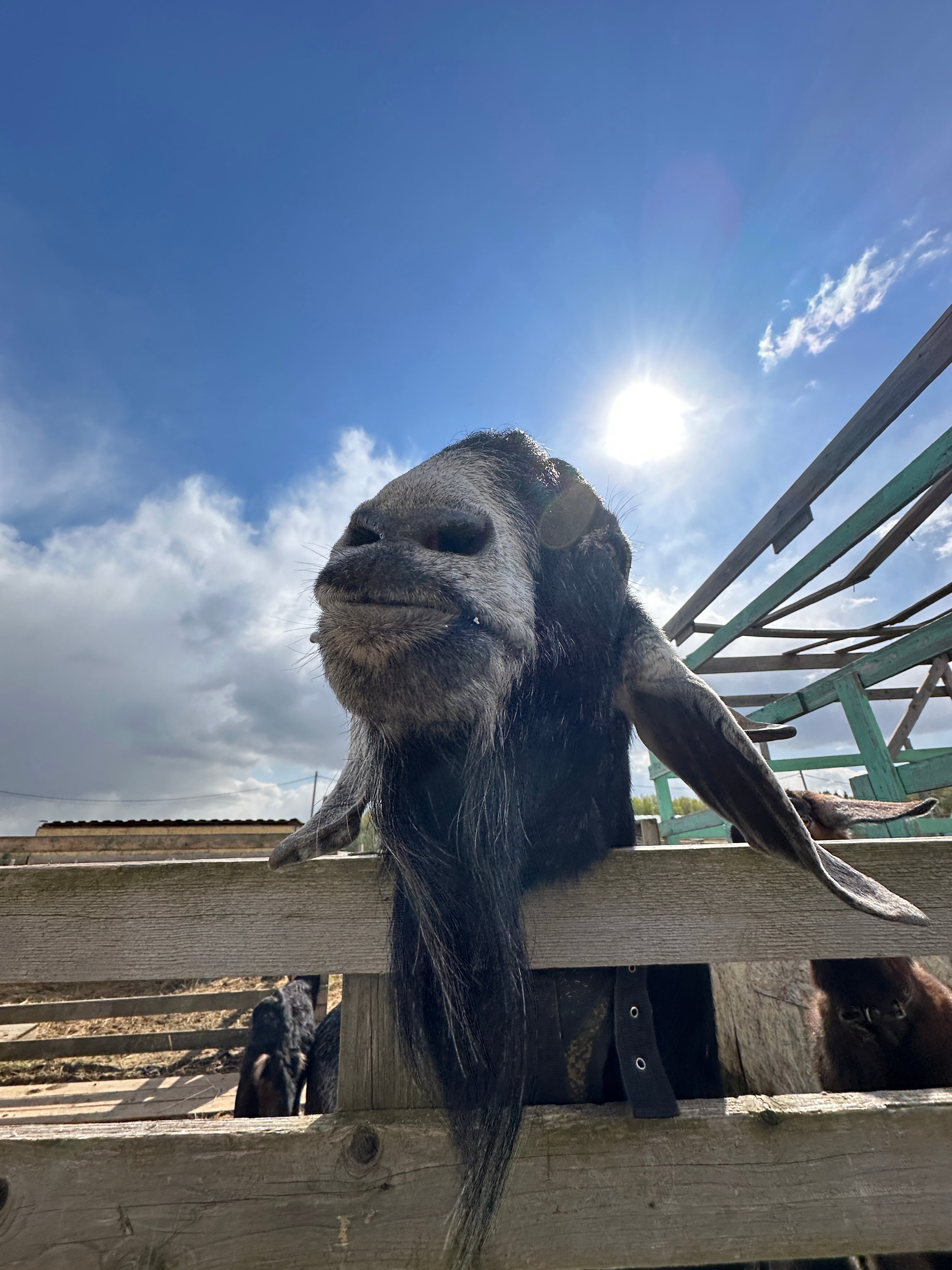 Фото Семейная экоферма