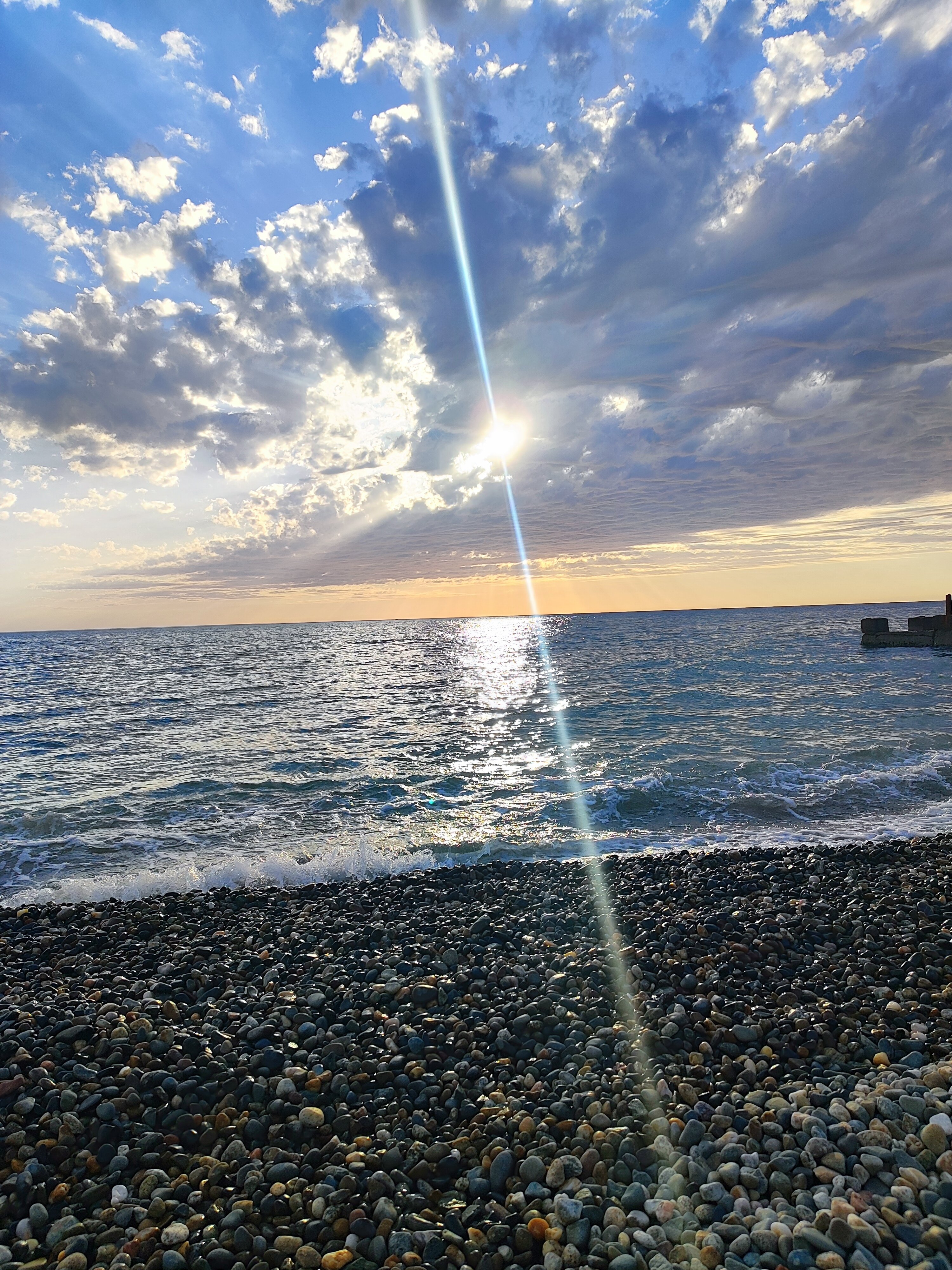 Фото Цветок Маргариты