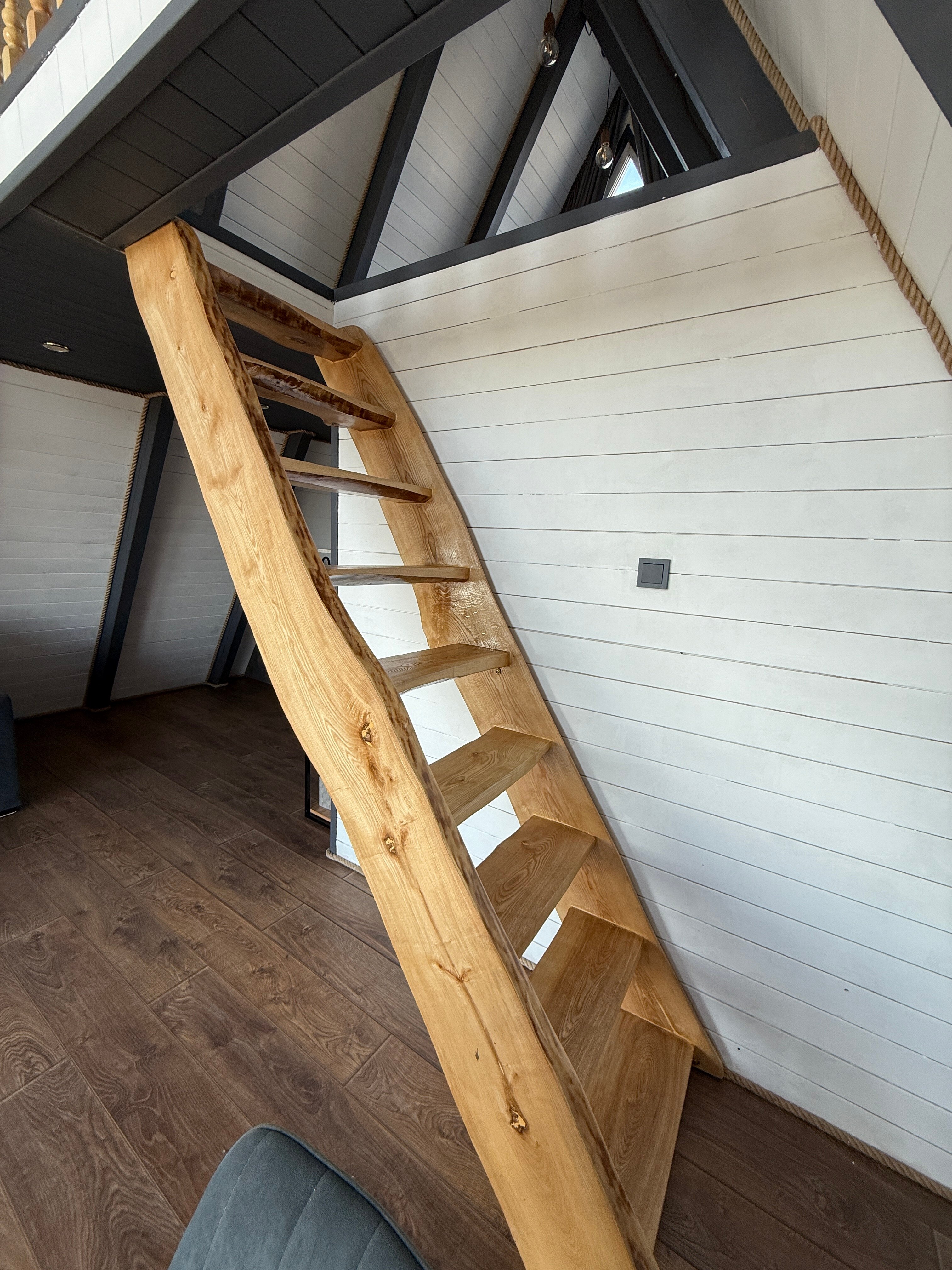 Фото Приморка Глэмп