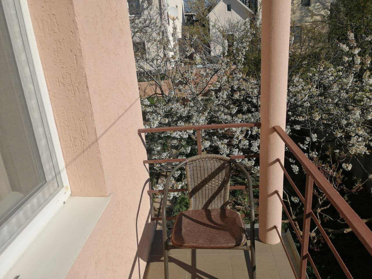 Фото Садочек