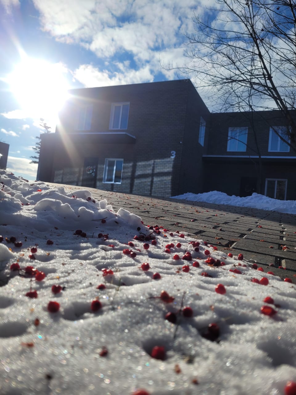 Фото Парк отель Паллада