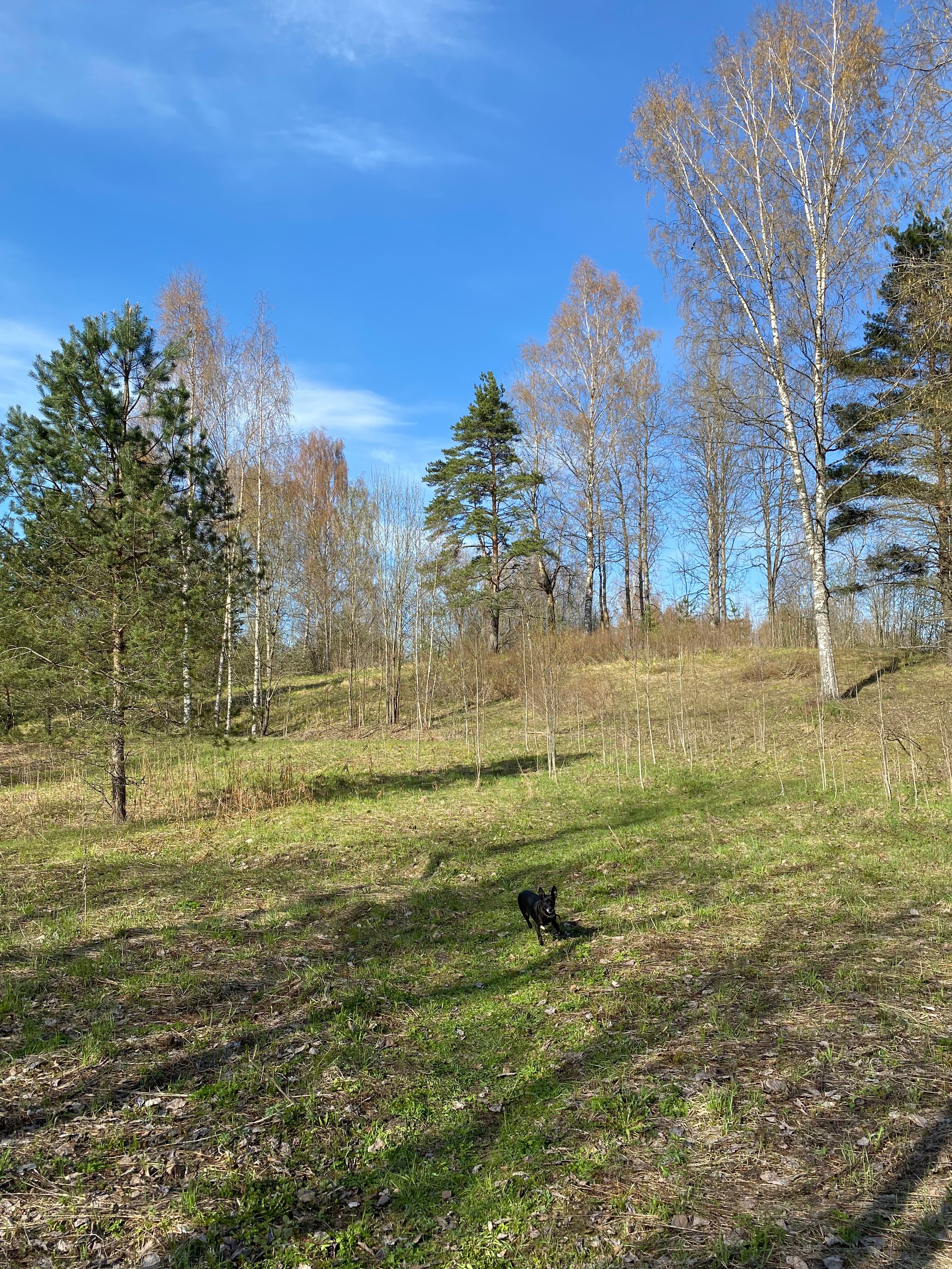 Фото Мой дом Валдай