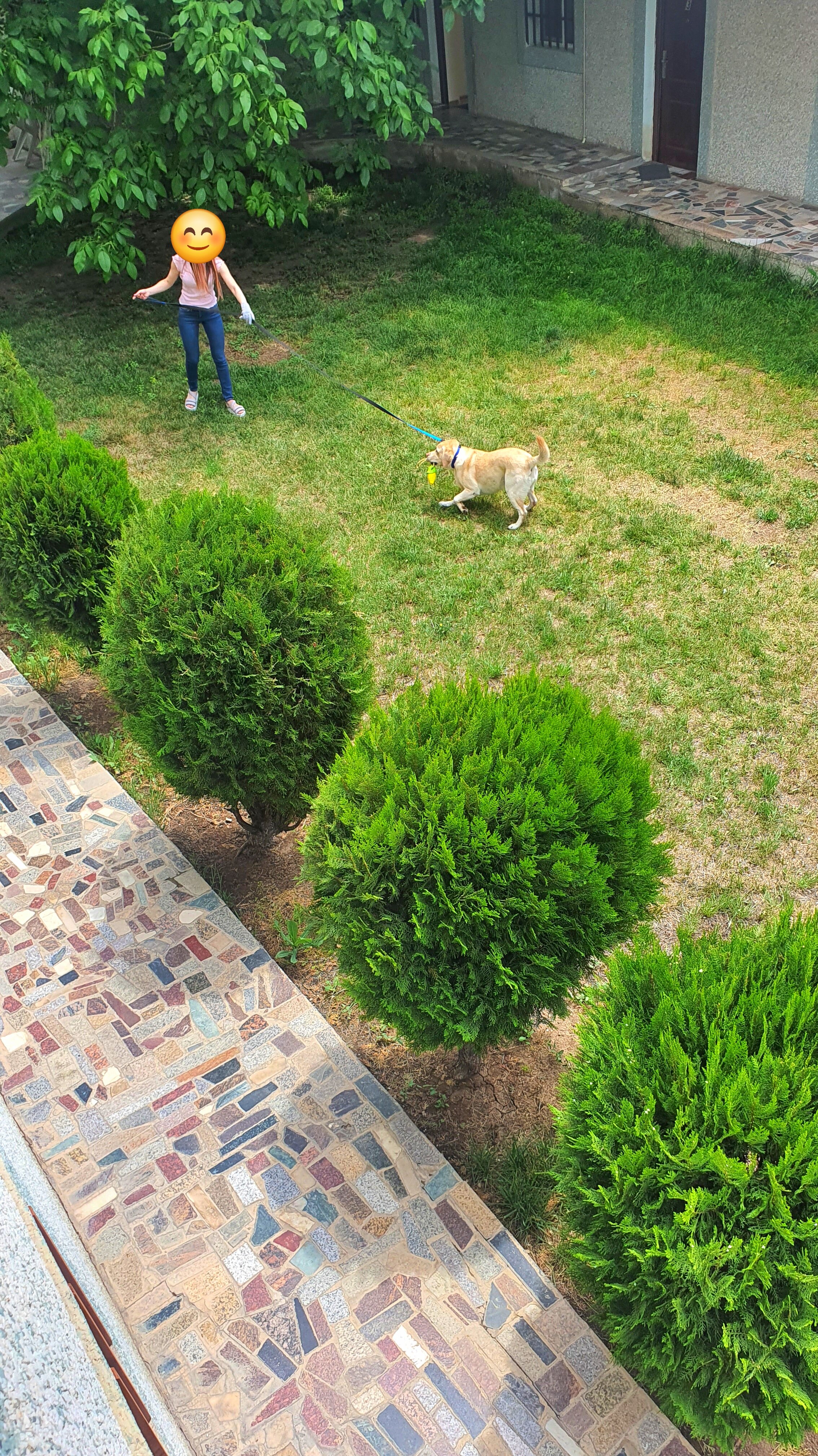 Фото Kesabella Touristic House