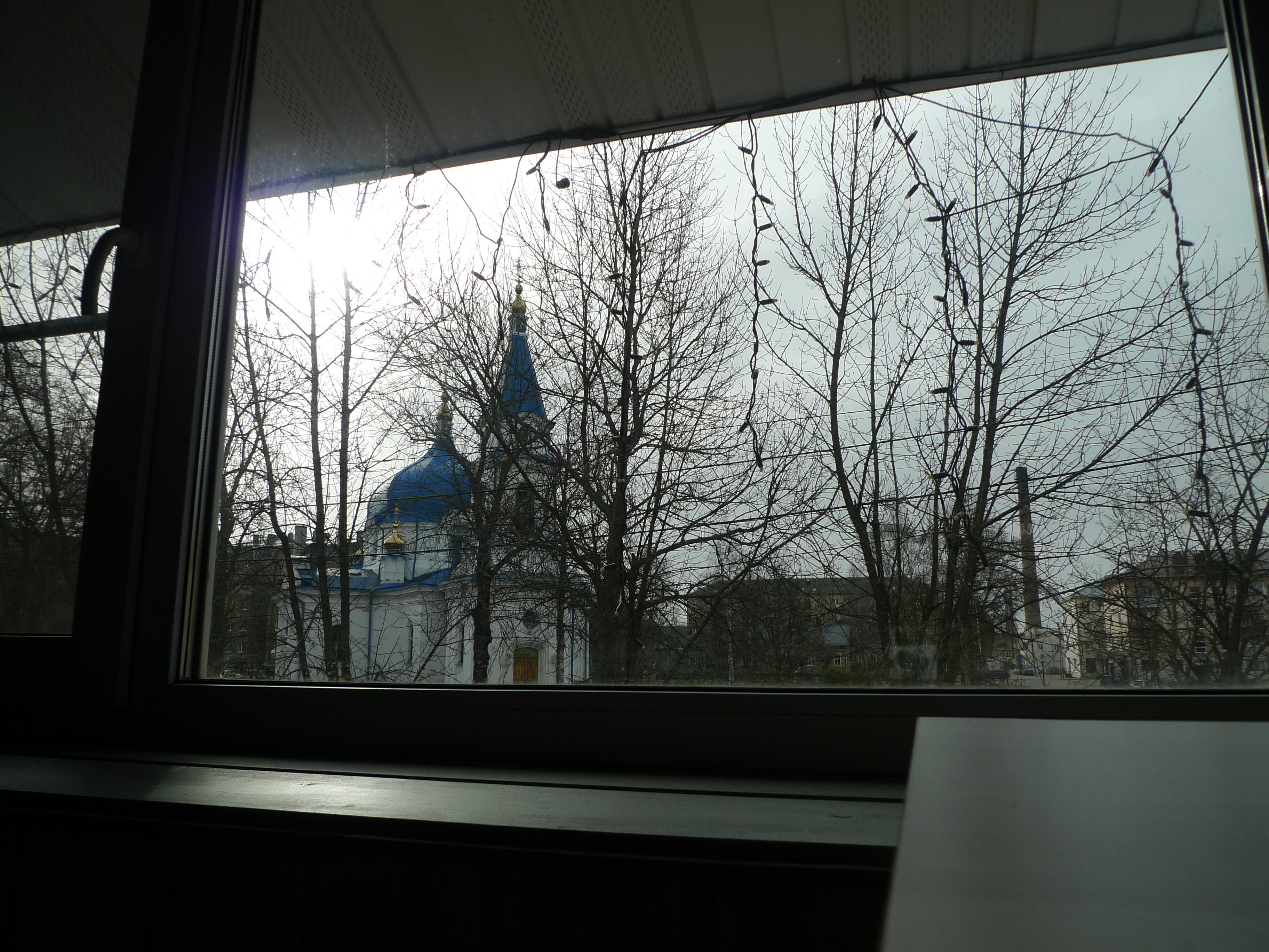 Фото Северный олень