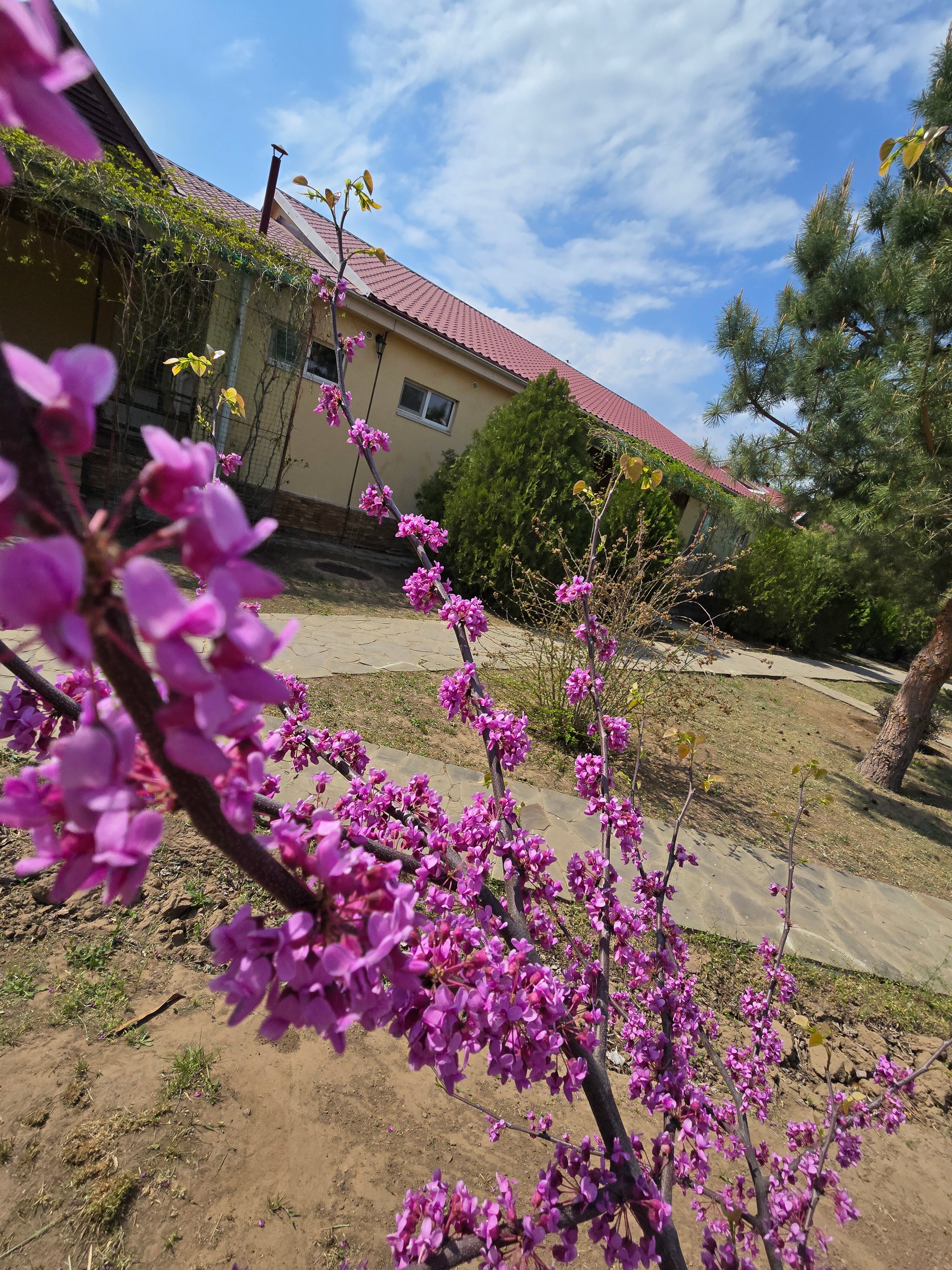 Фото Углянское