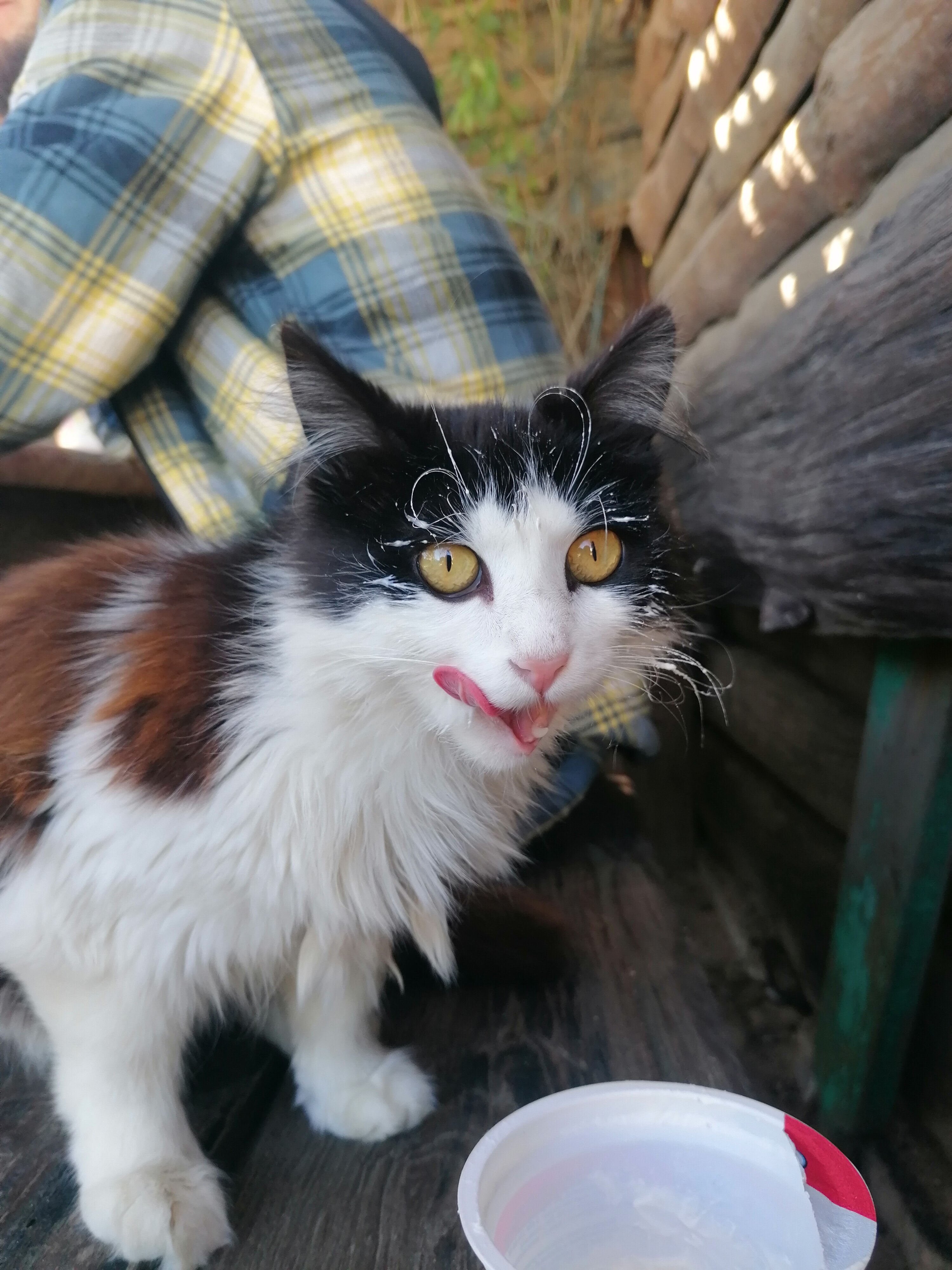 Фото Welcome Голубой залив