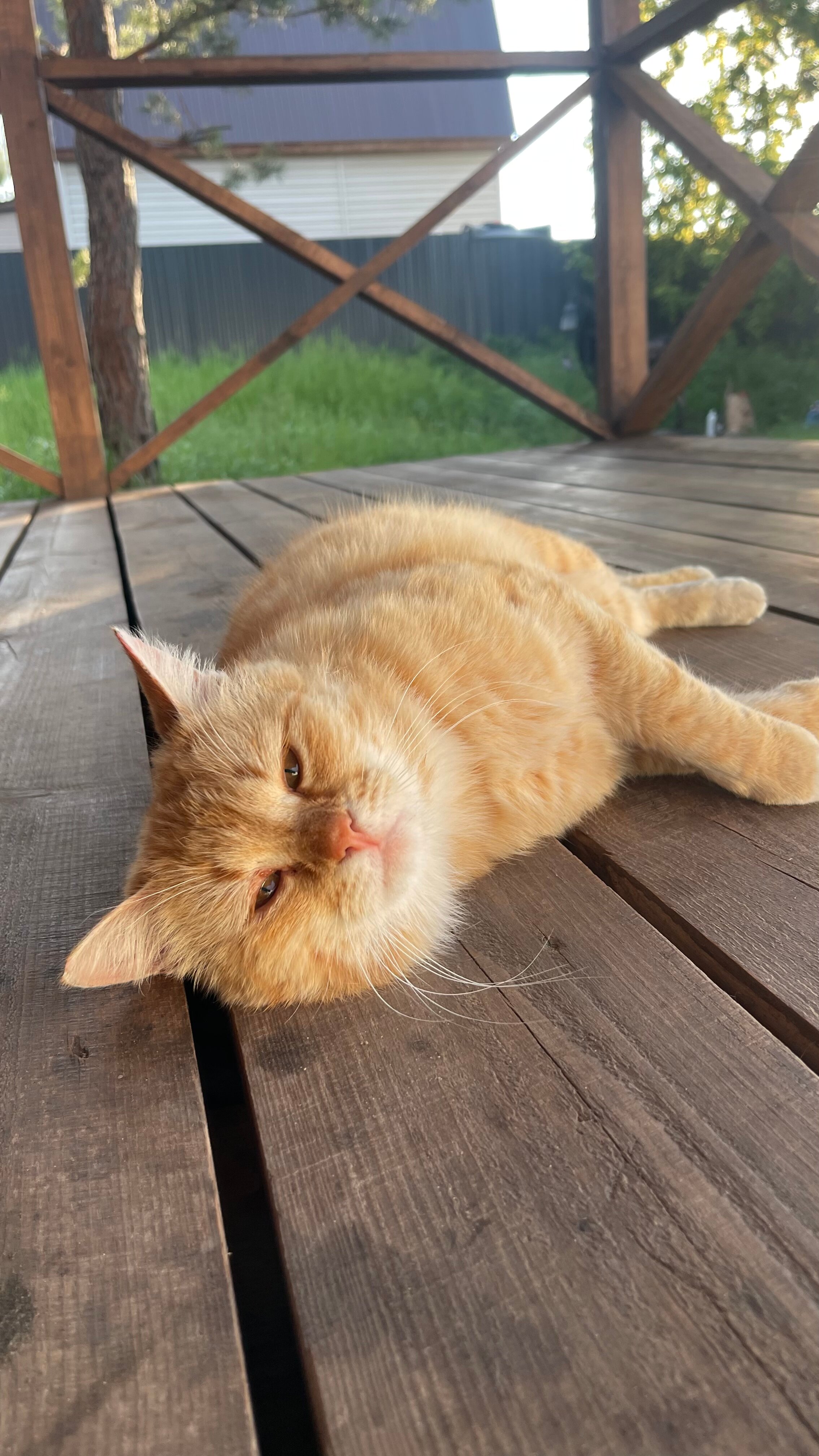 Фото Дом с душой