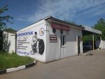 Shell (Settlement of Prigorodniy, 46А), tire service