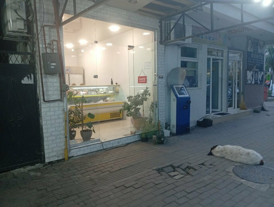 Butcher shop Meat, Batumi, photo