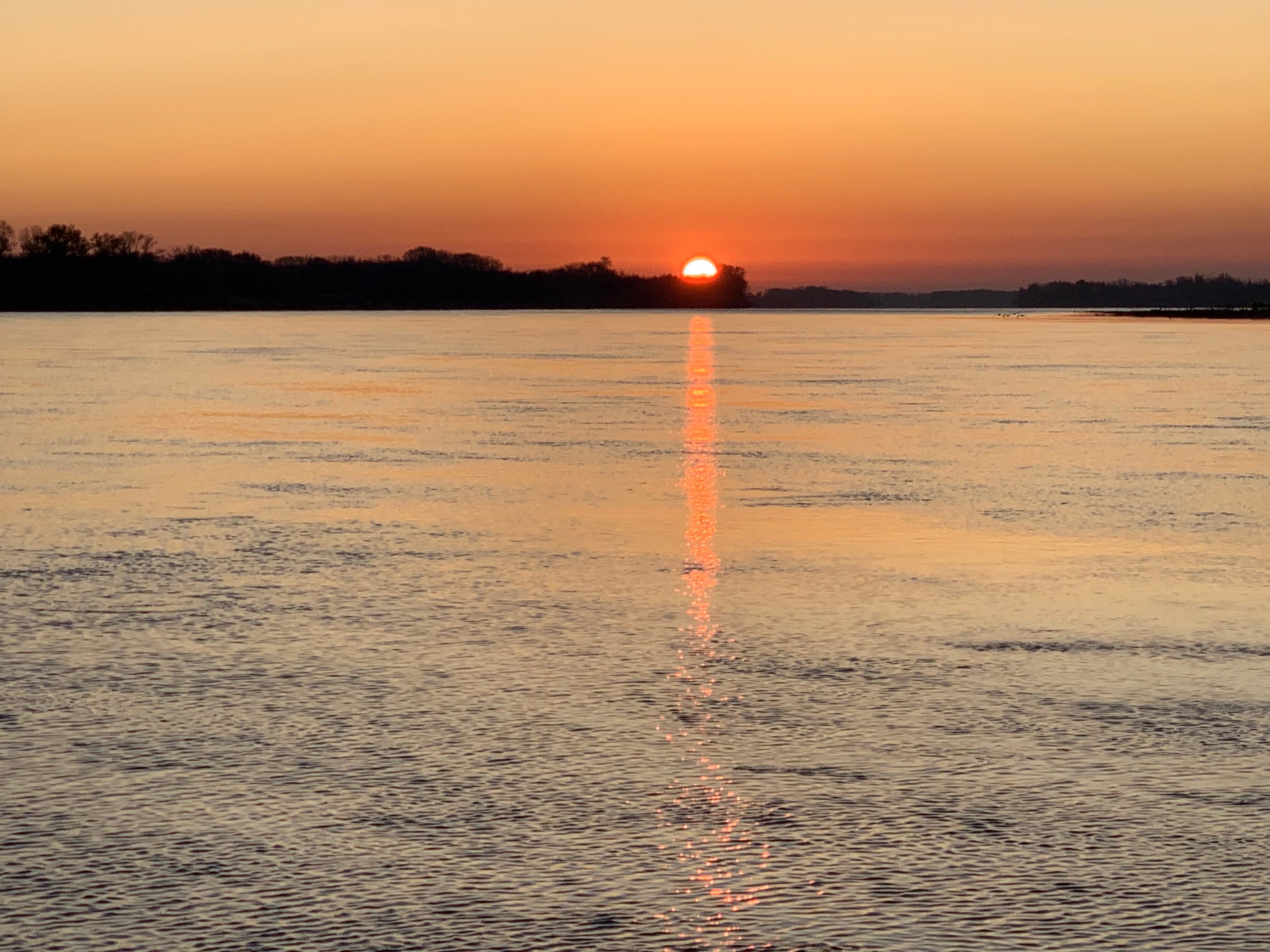 Фото Золотая Дельта