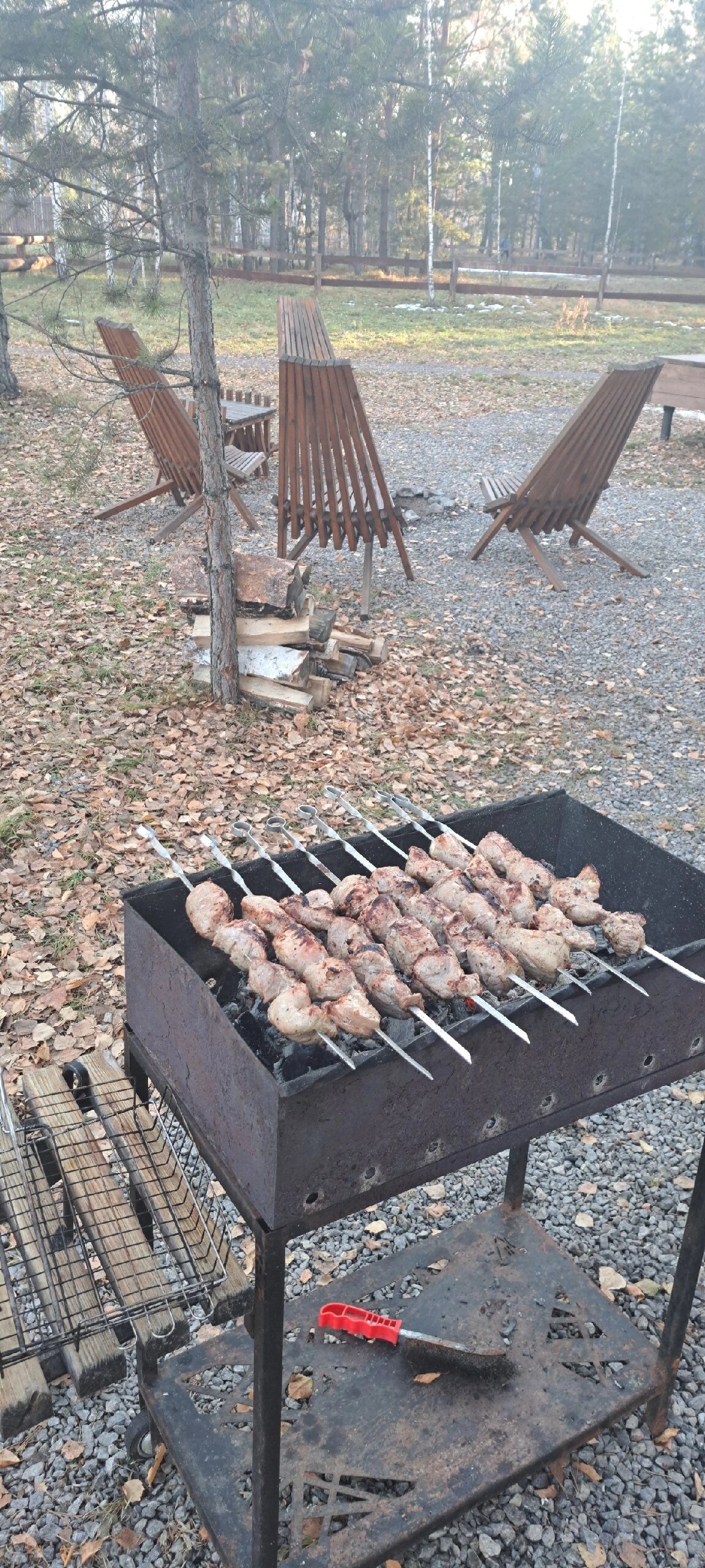 Фото Ветер в соснах