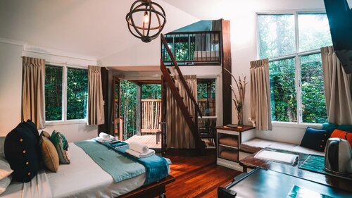 Гостиница Ferntree Rainforest Lodge