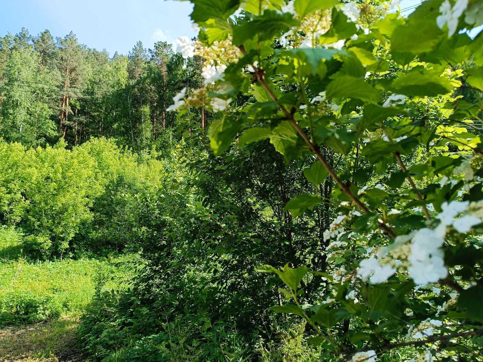 Фото Emirell Altai