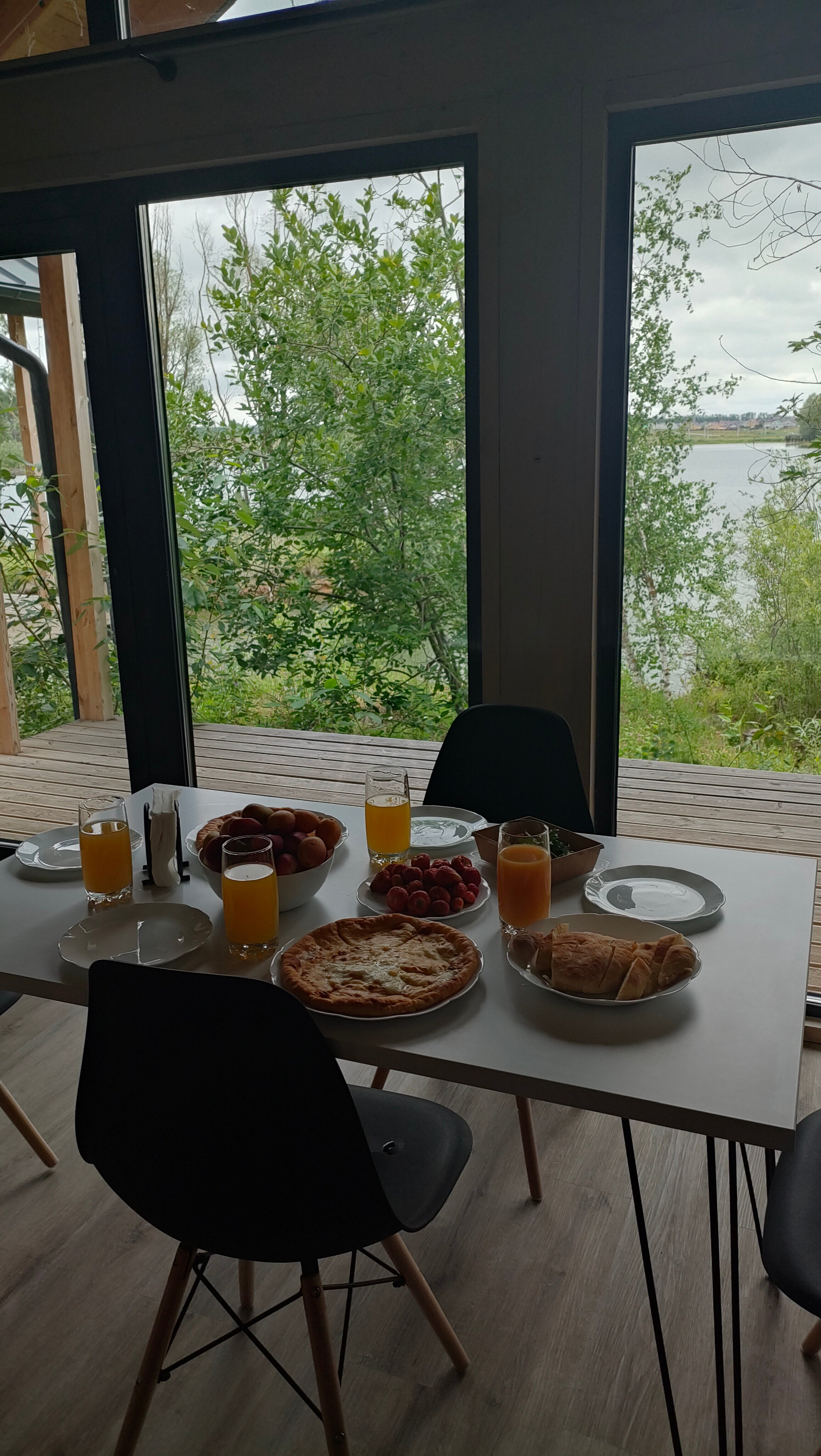 Фото Бобры и Утки