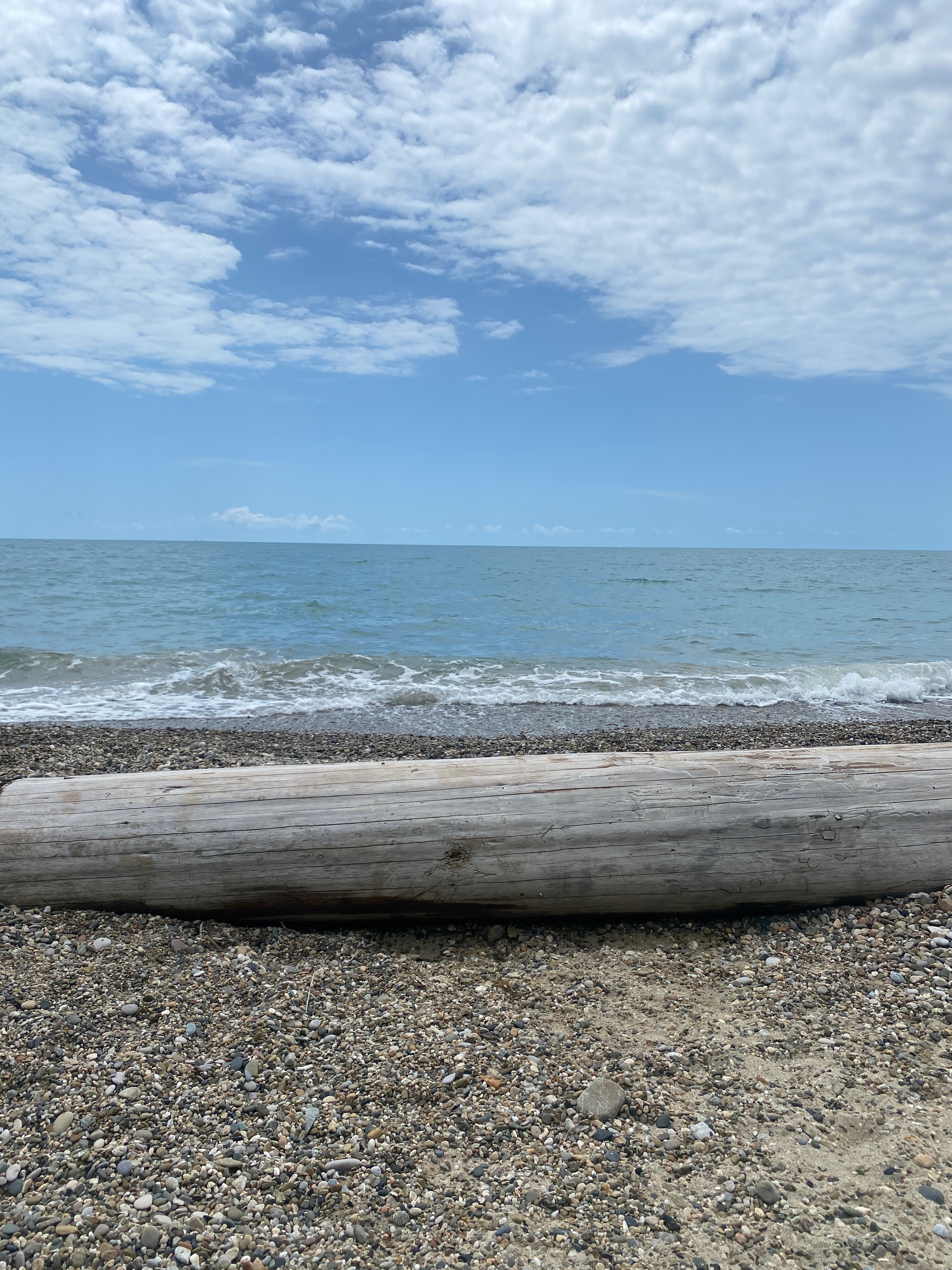 Фото Три Тополя