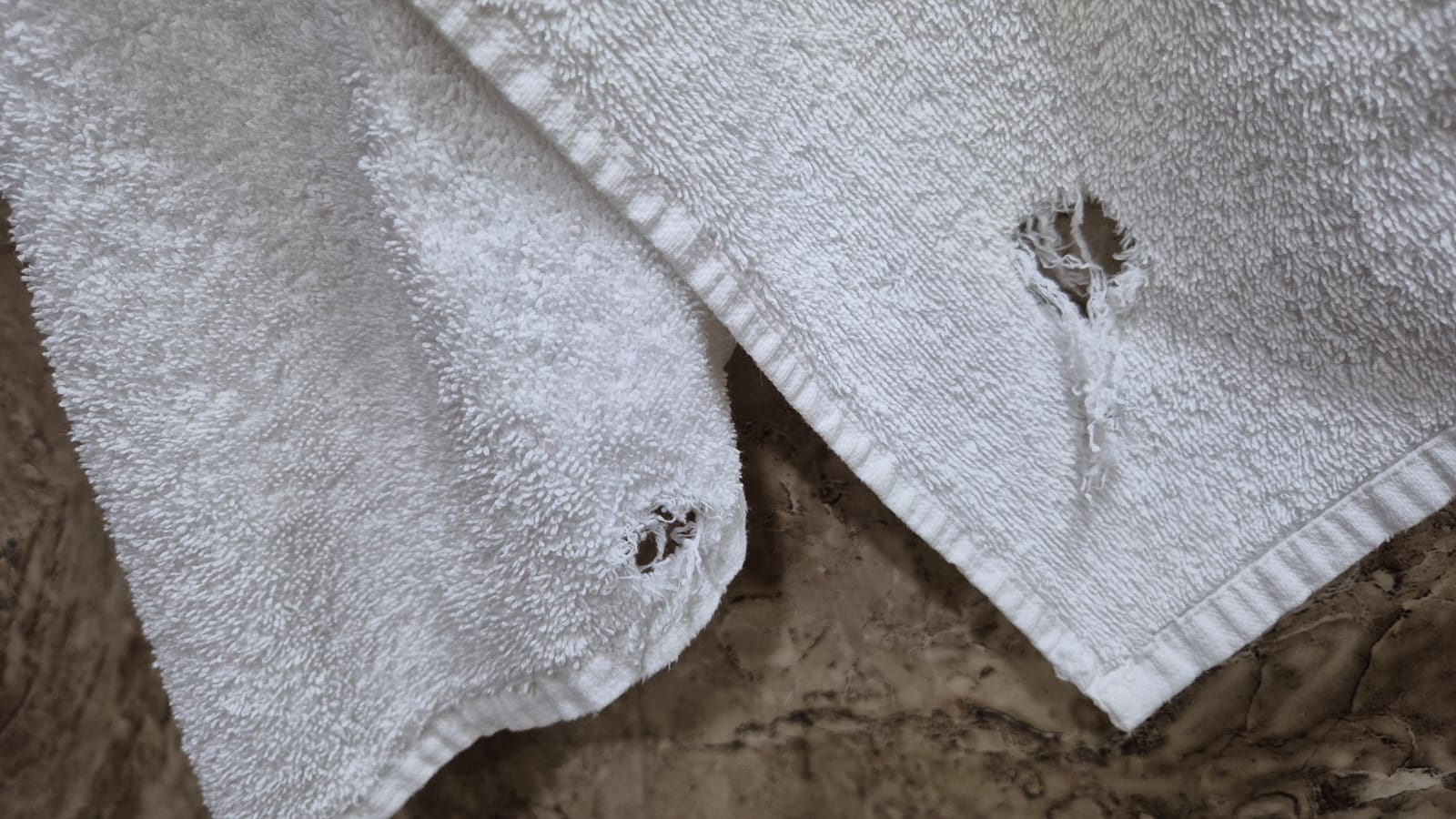 Фото Опера Авеню