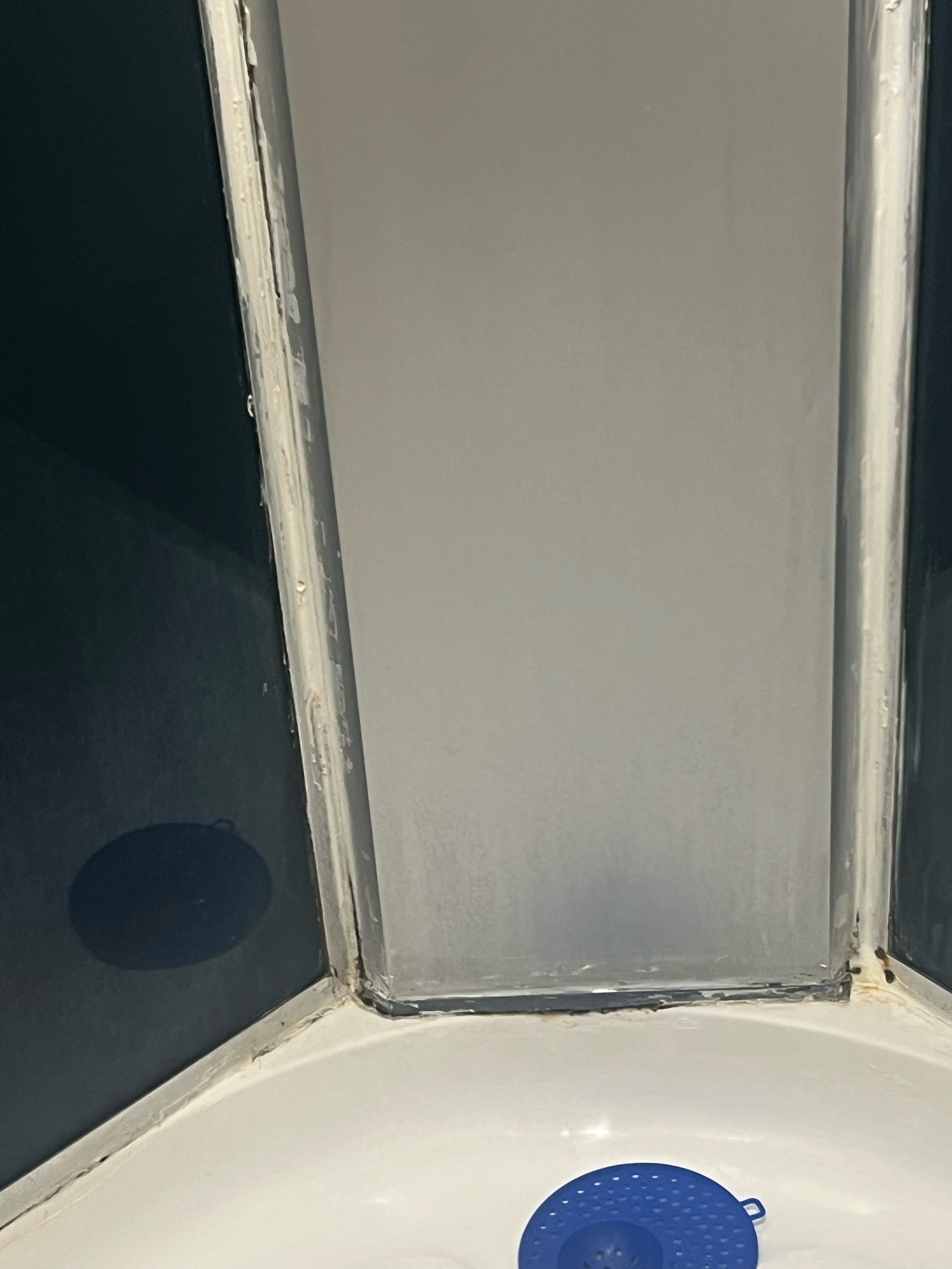 Фото Апельсин