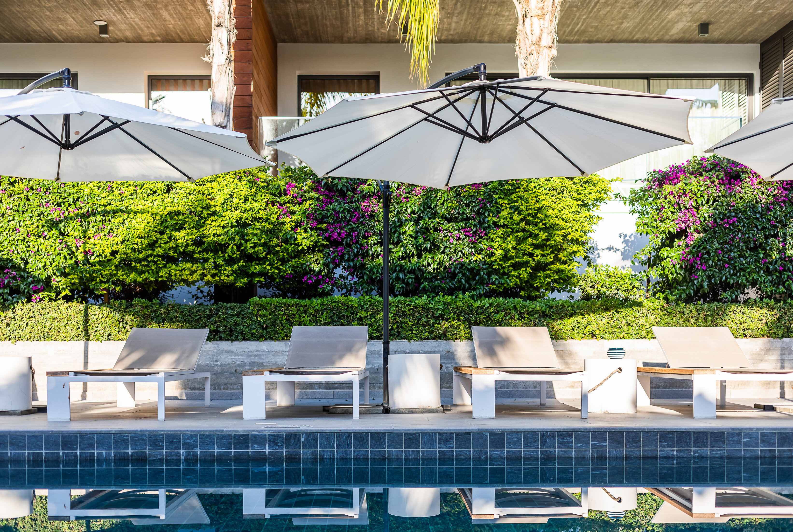 Фото Апартаменты Sofia Luxury Residence