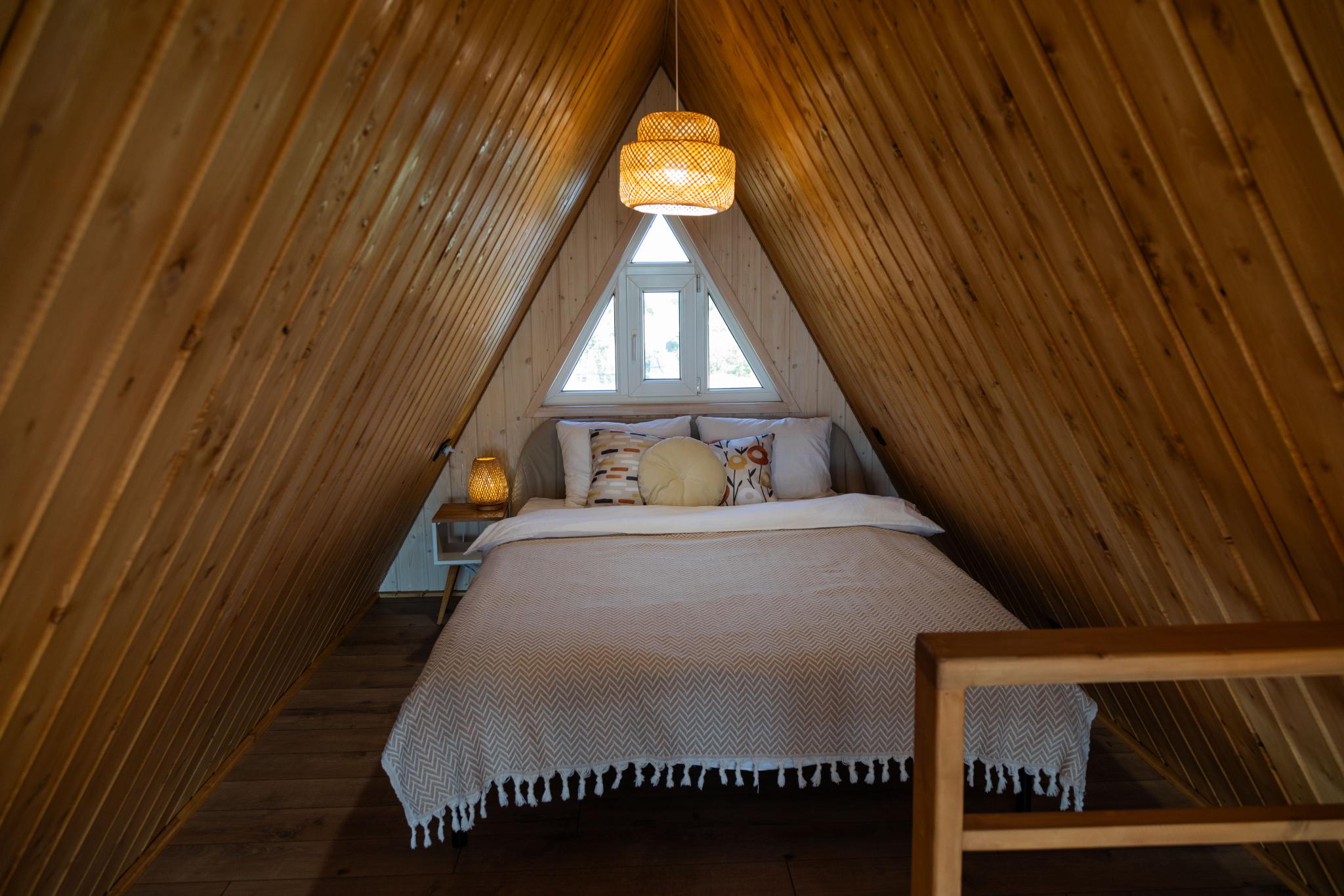 Фото Эко-пространство на заре