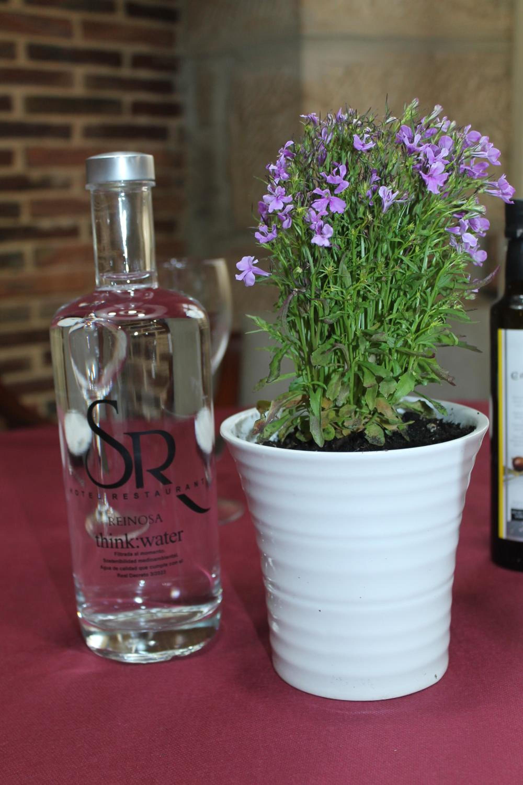 Фото Hotel San Roque