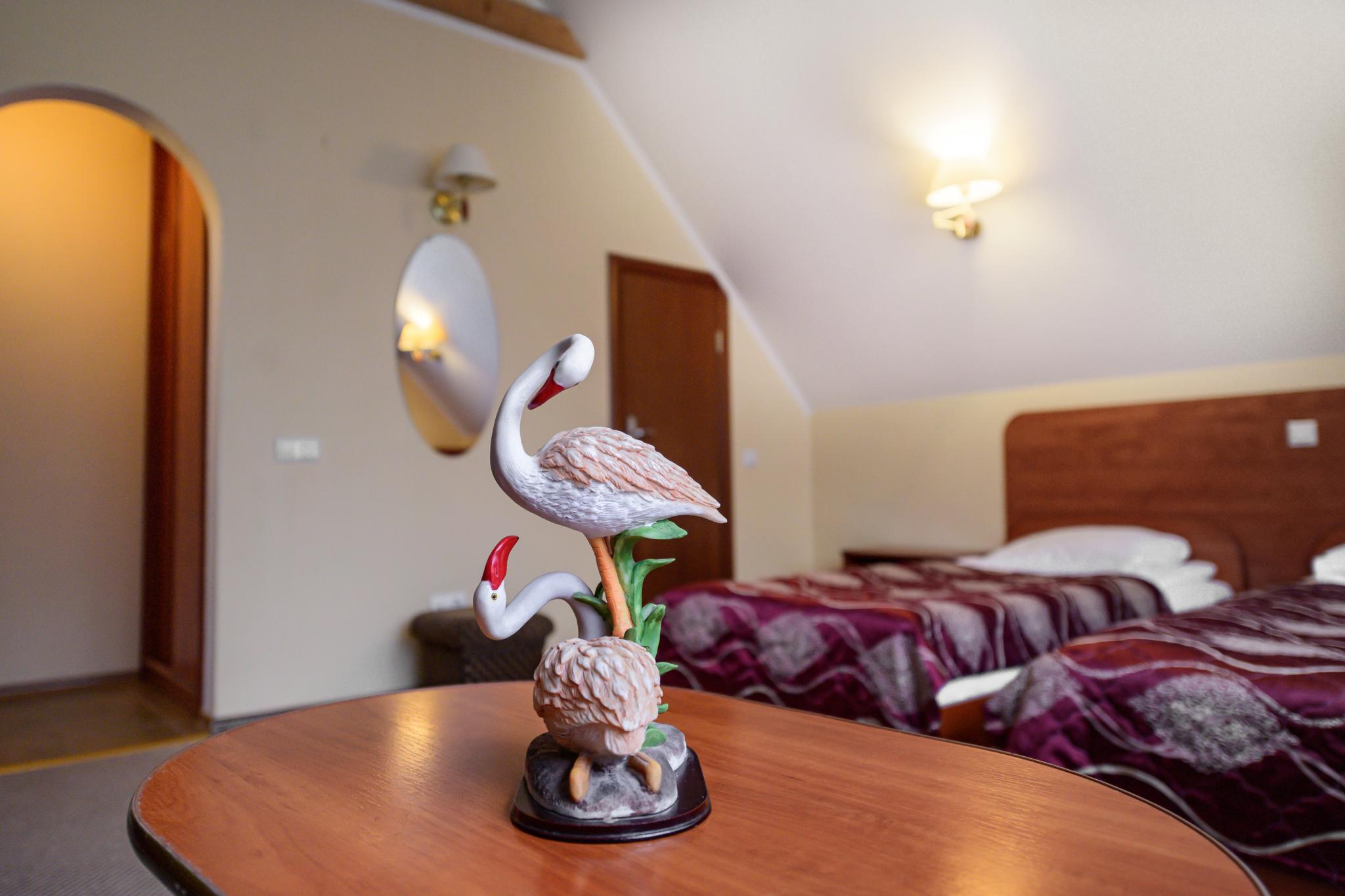 Фото Фламинго