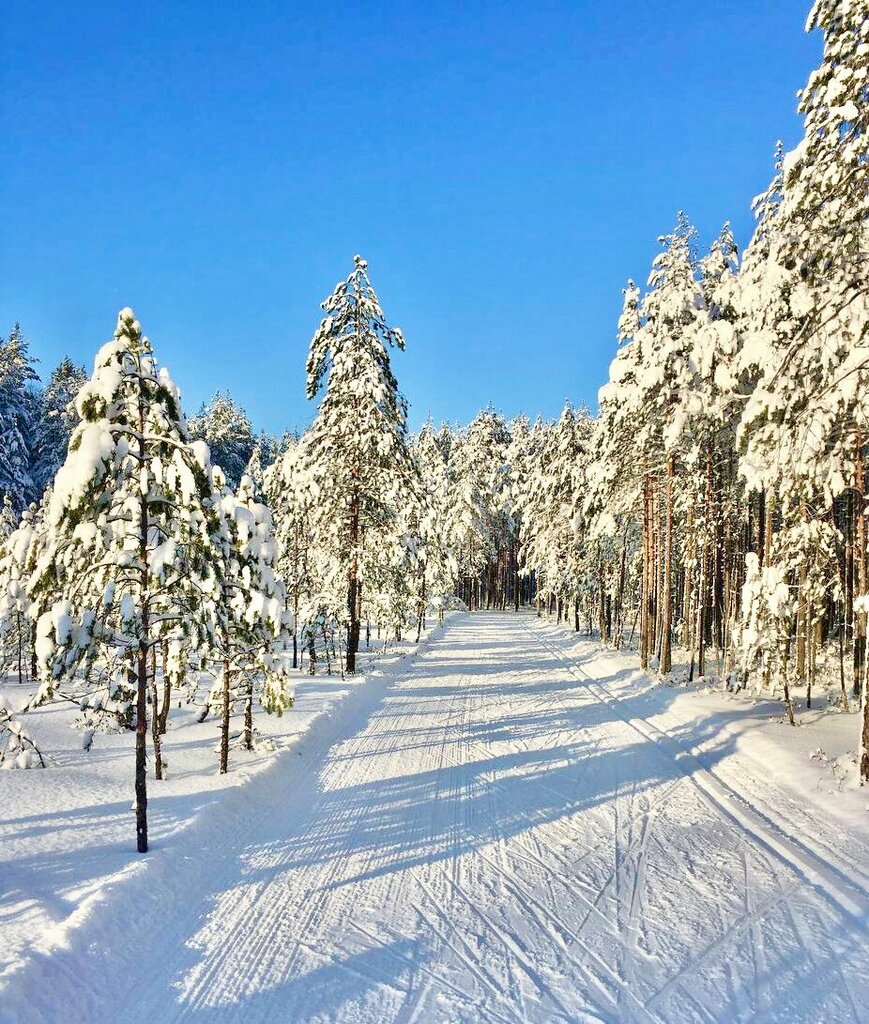Спортивная база Наша трасса, Санкт‑Петербург и Ленинградская область, фото
