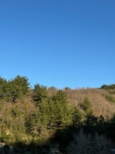 Гостевой дом Гармония в Лазаревском