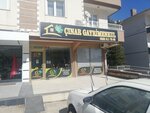 Cinar Real Estate (Ankara Province, Etimesgut District, 1544th Avenue, 58A), agencia inmobiliaria
