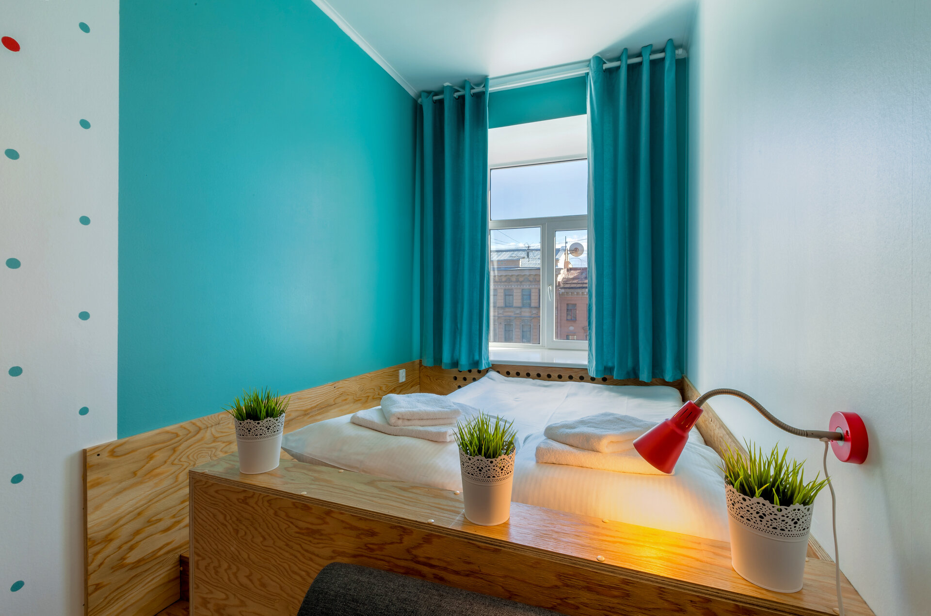 Фото Абрикос