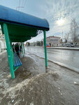 Дом учителя (Republic of Tatarstan, Chistopol, ulitsa Karla Marksa), public transport stop