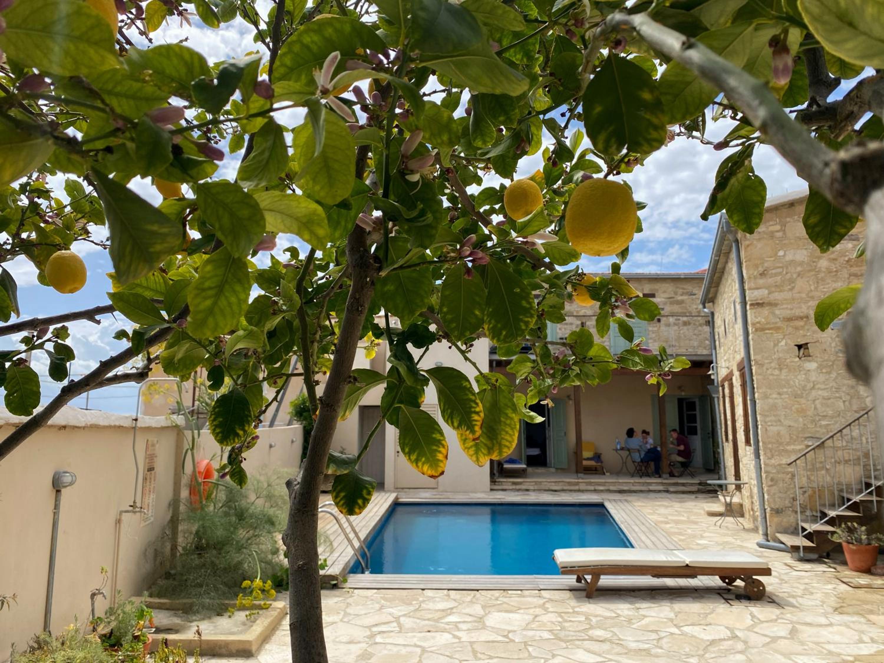 Фото Evkarpos Country House