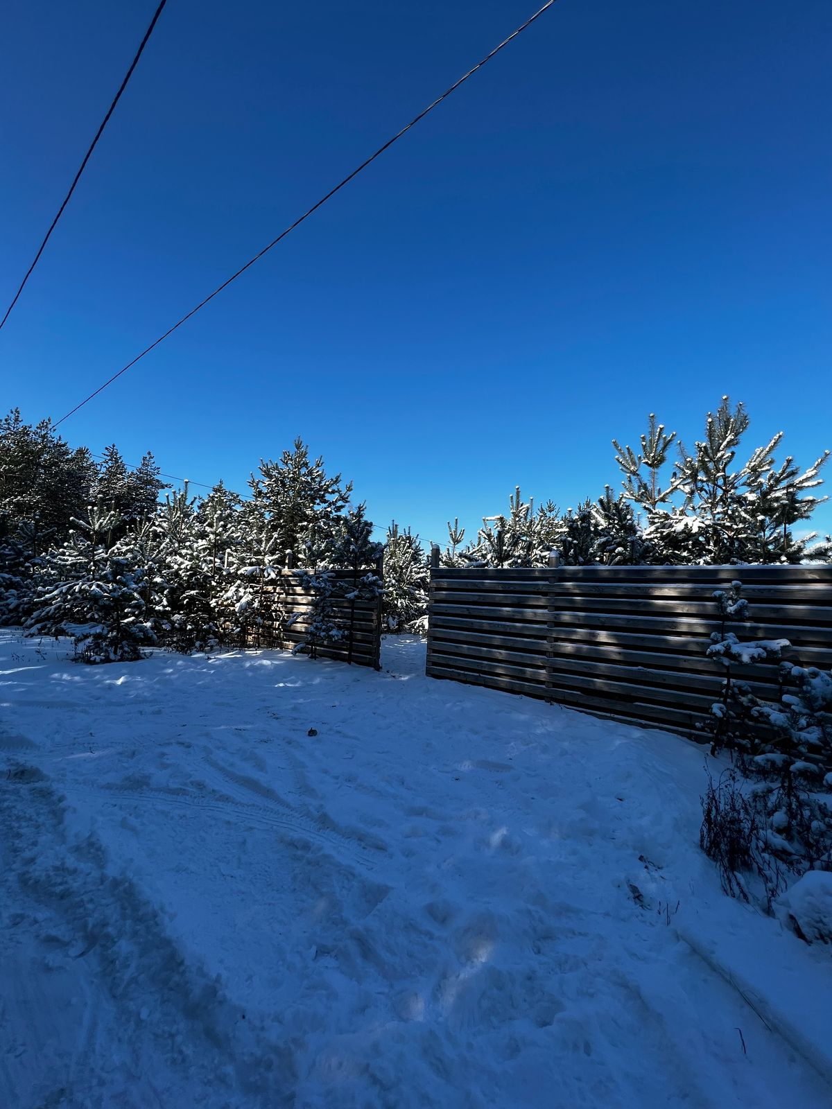 Фото Тишина