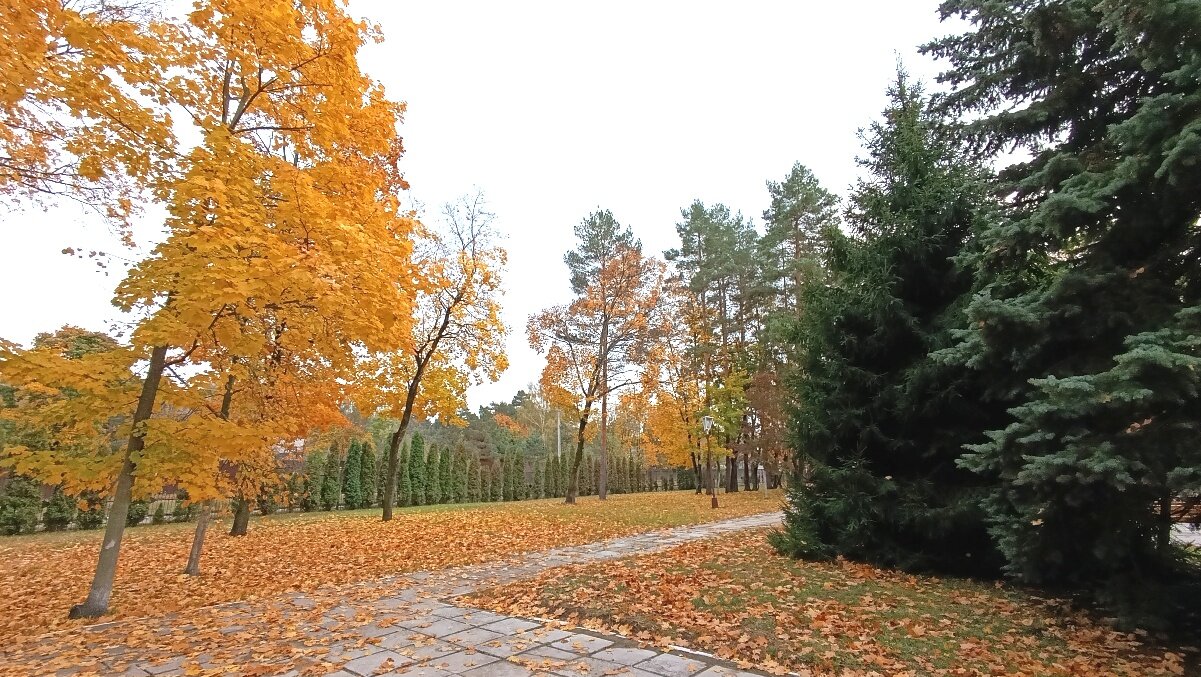 Фото Санаторий-профилакторий Лесной Дворик