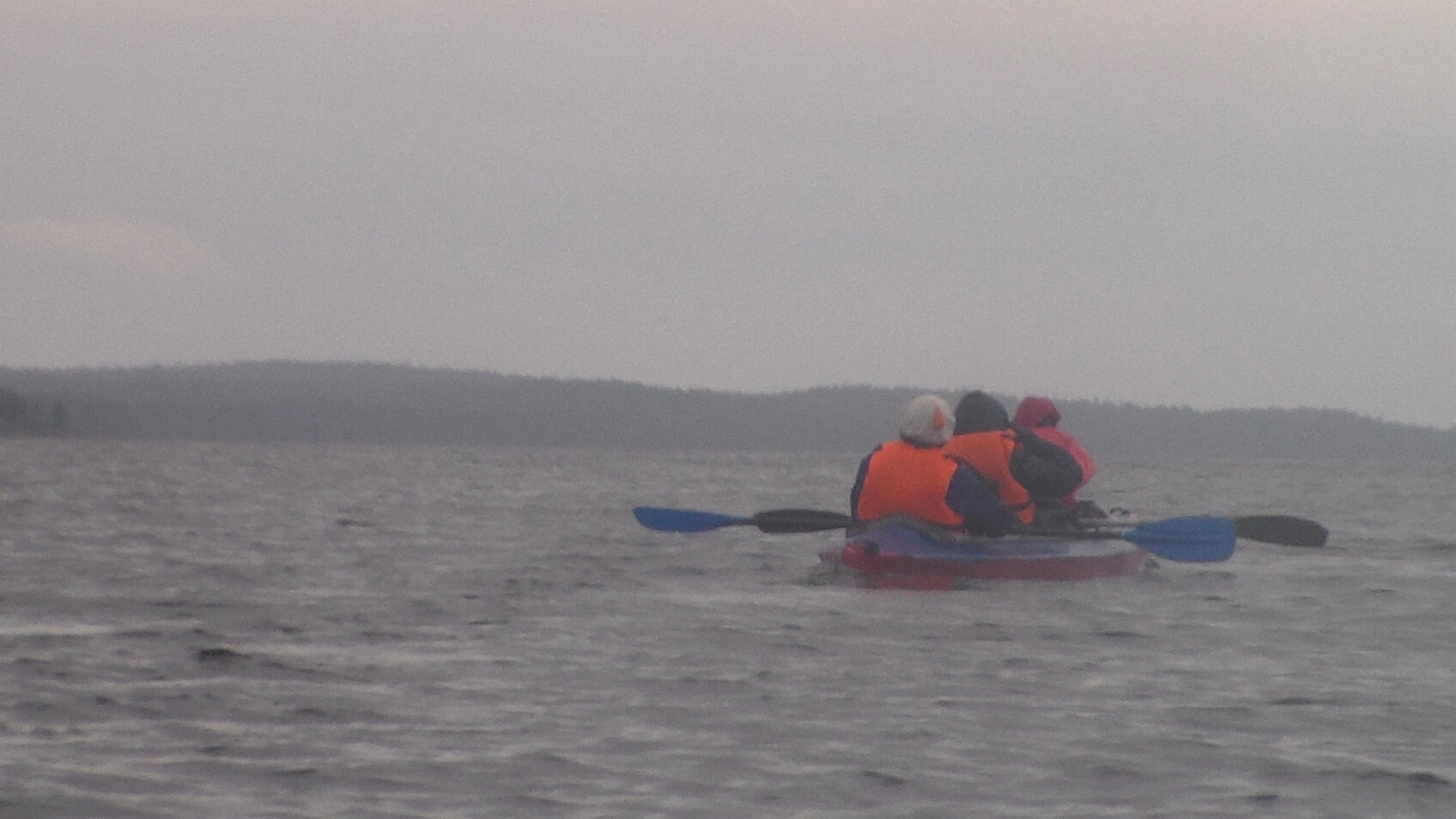 Фото Нереис