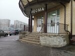Лесма стиль (Mashinostroiteley Avenue, 19А), doors