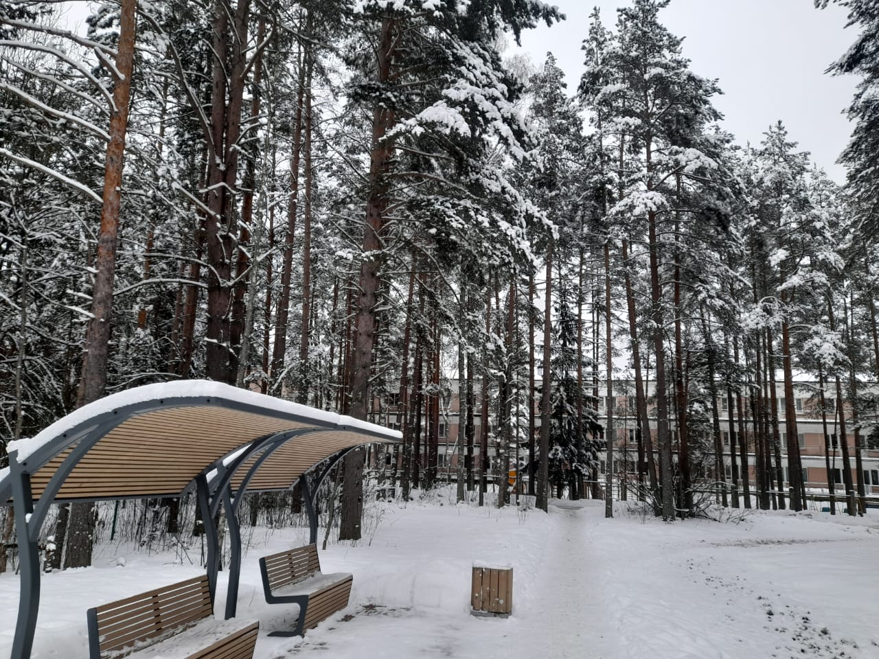 Фото Комарово