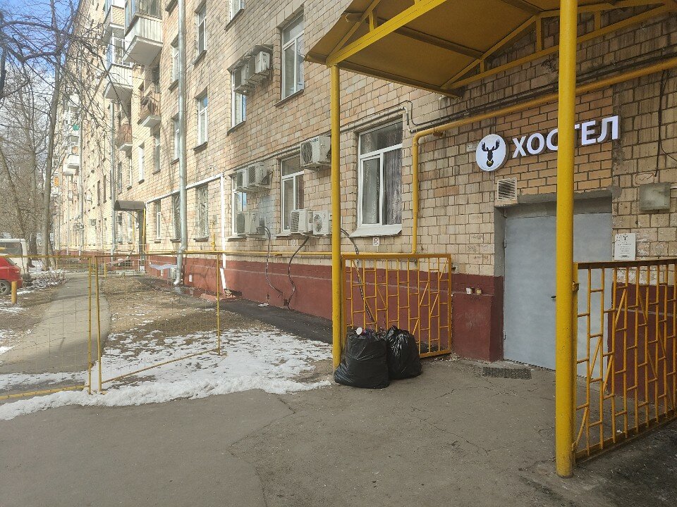 Фото Вежливый лось