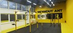 Workout Ant (Biryulyovskaya Street, 9), sports club