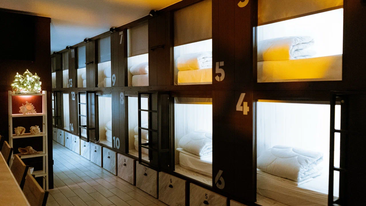 Фото Старый Лис