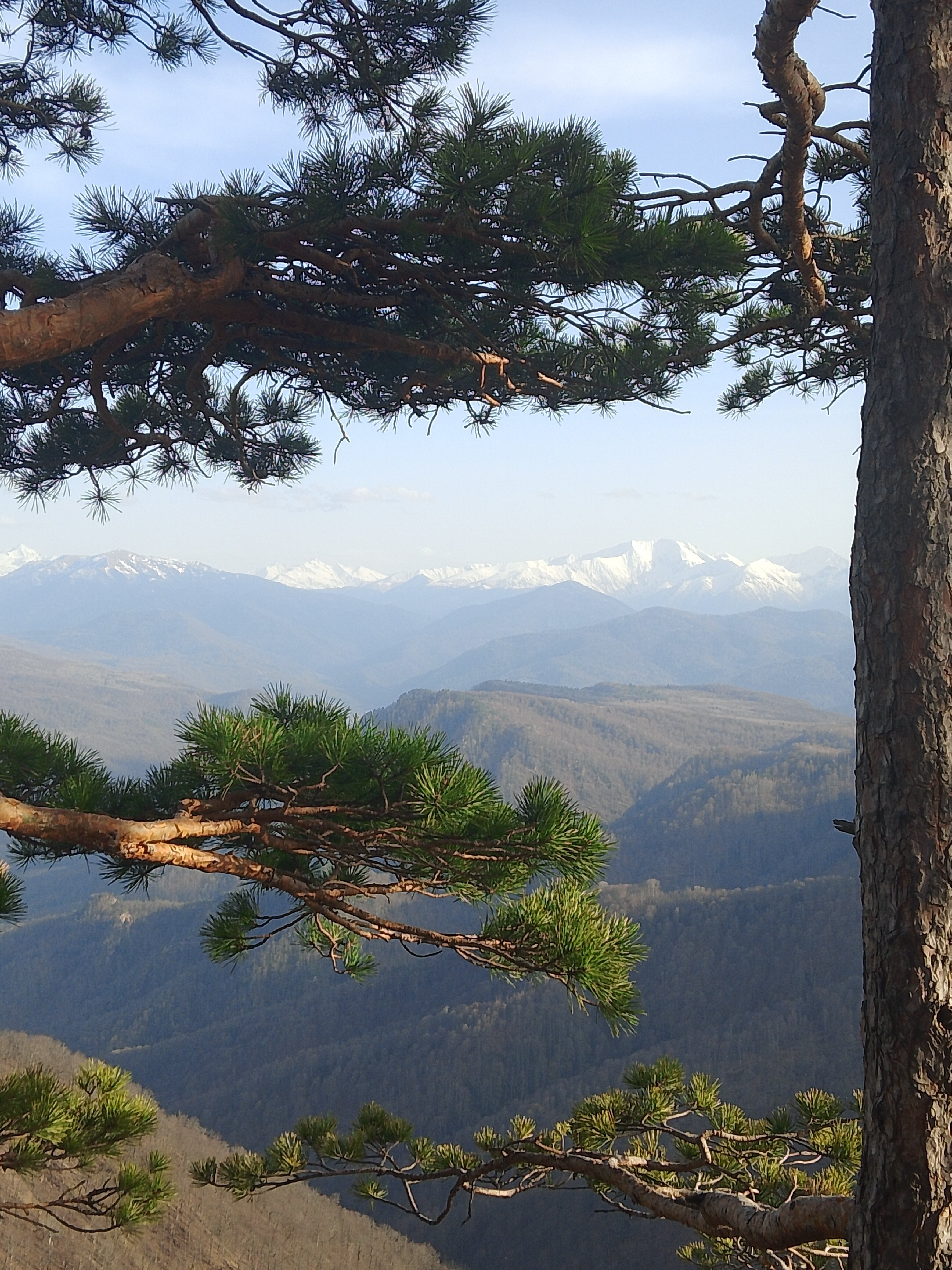 Фото Надо в Горы