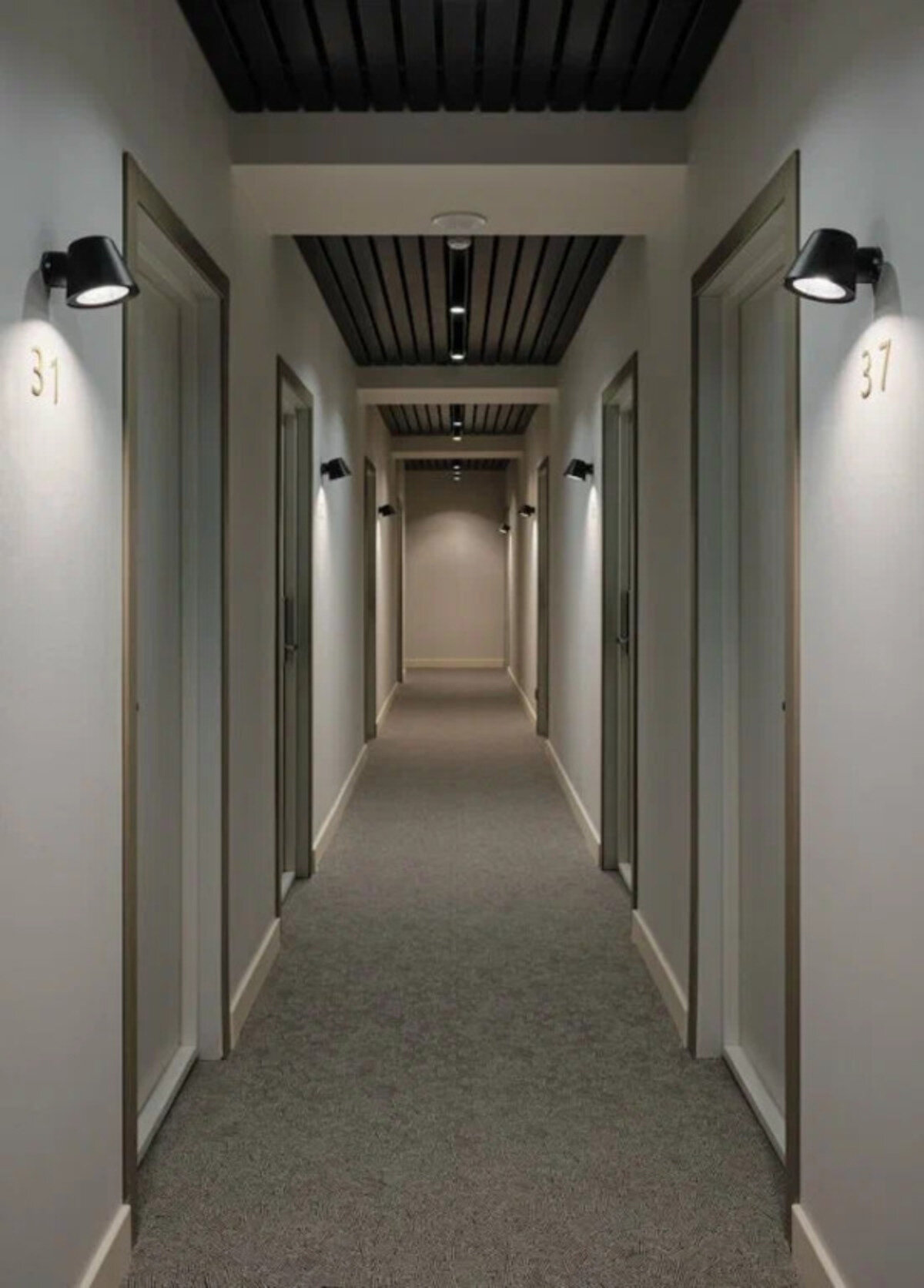 Фото Карелинн