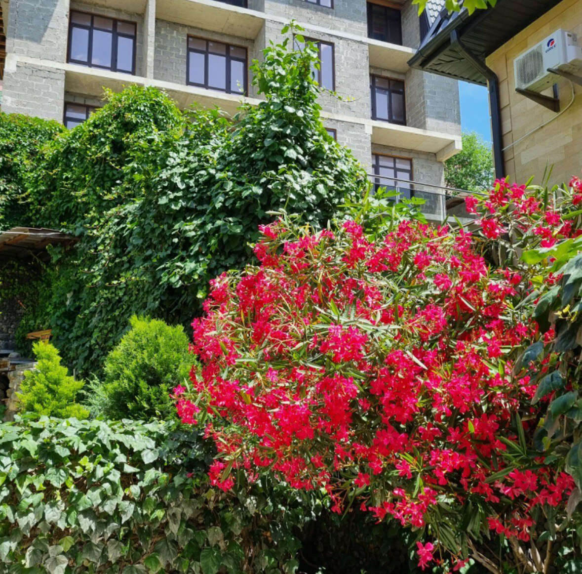 Фото Фундук