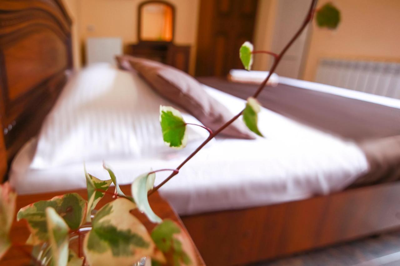 Фото Алоиза