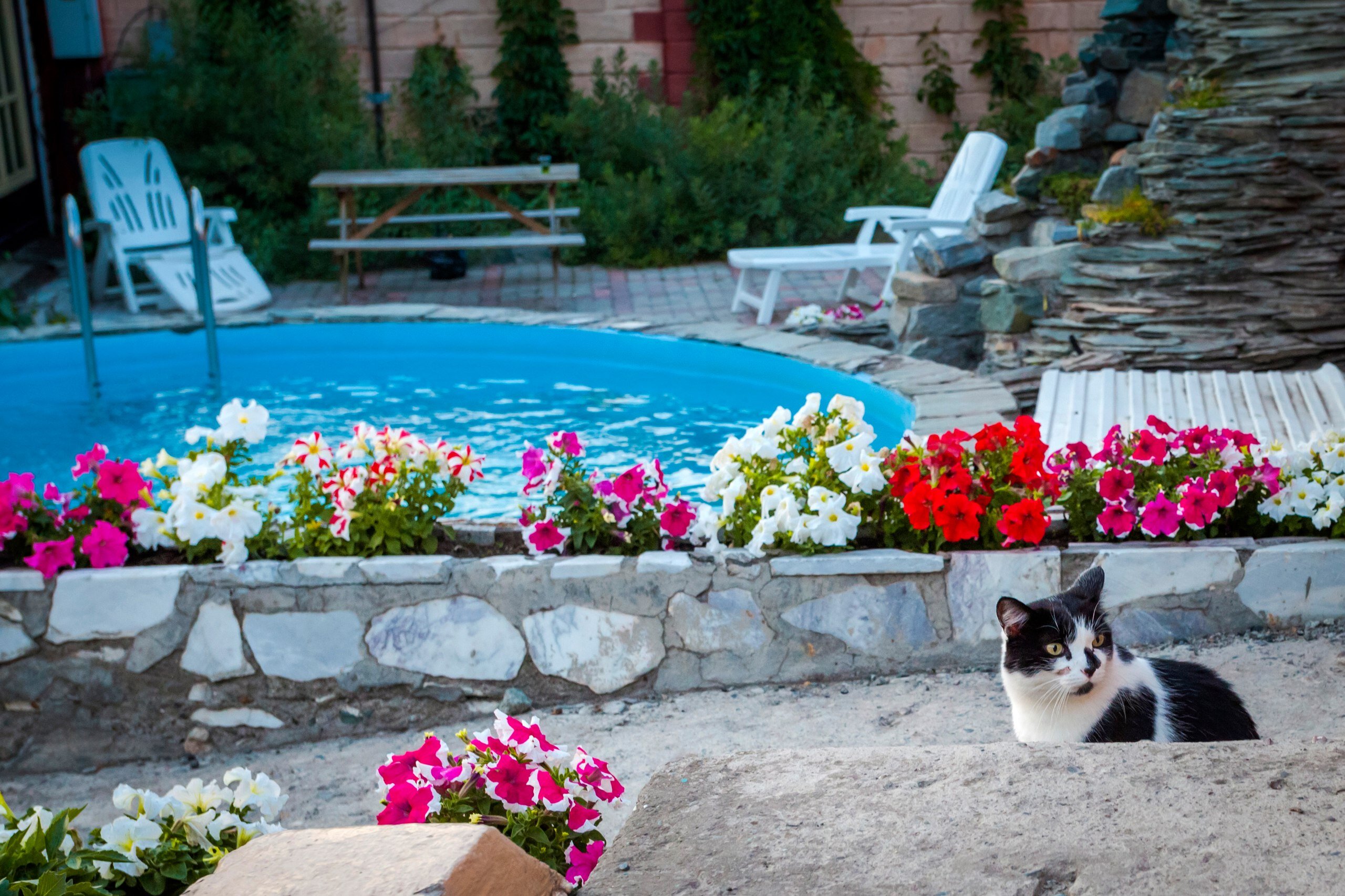 Фото Барская усадьба