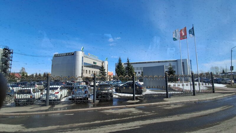 Qattiq ayol dumbalari