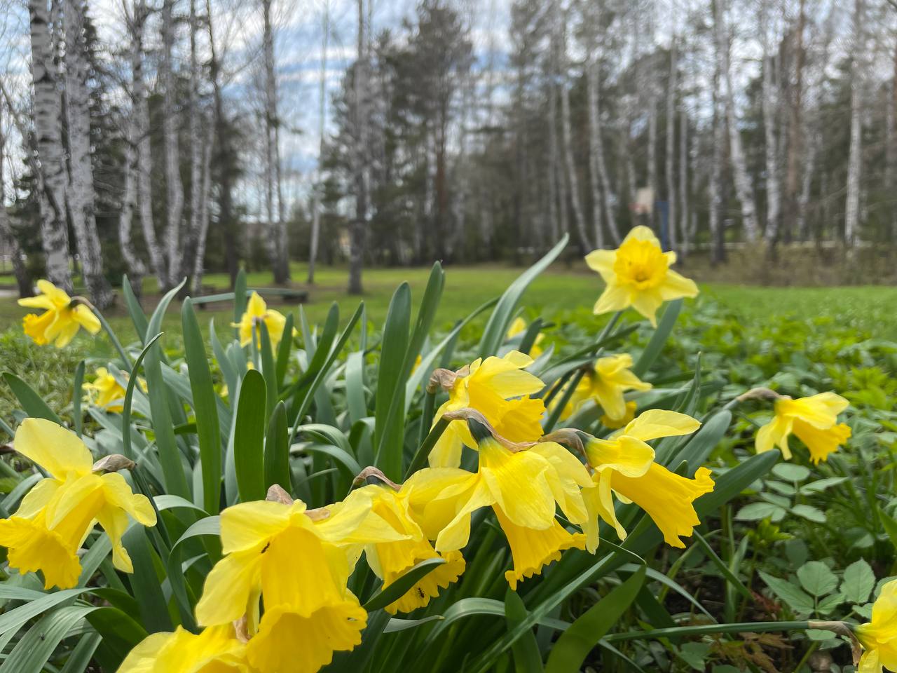 Фото Юбилейный