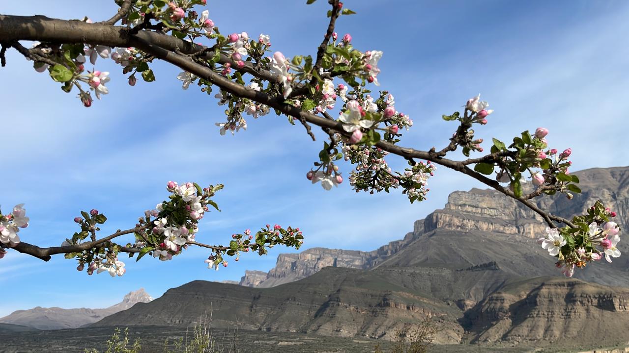 Фото Дом на Заречной