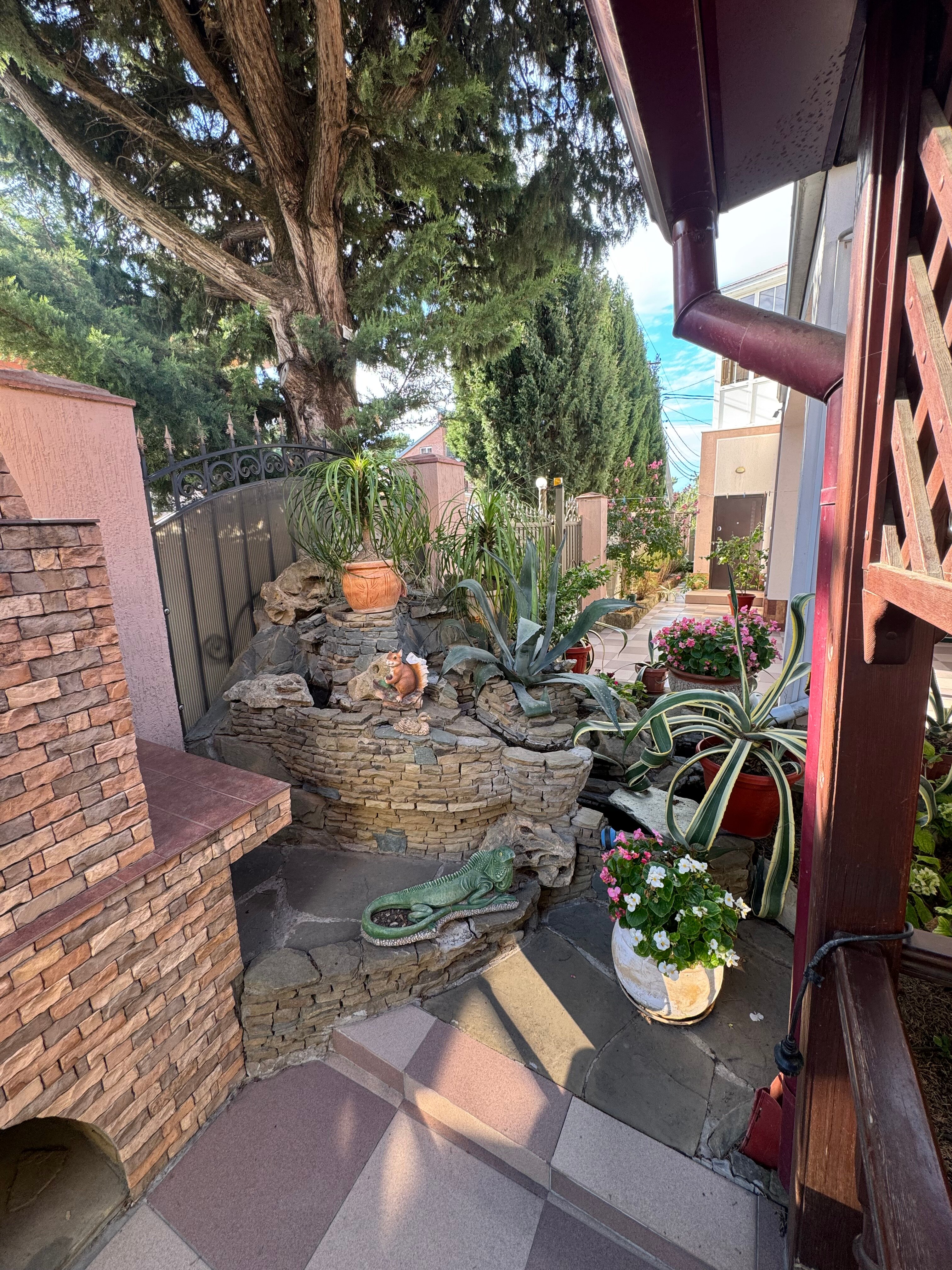 Фото Виктория